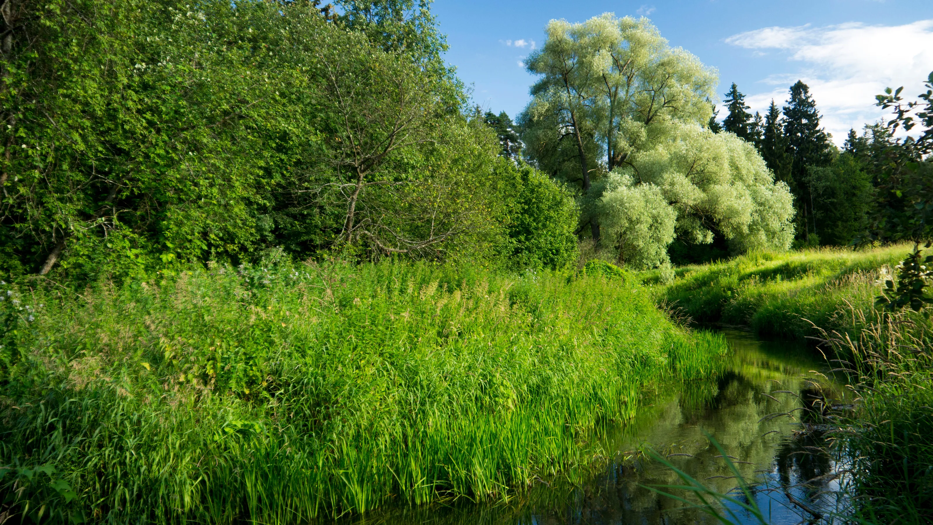 river