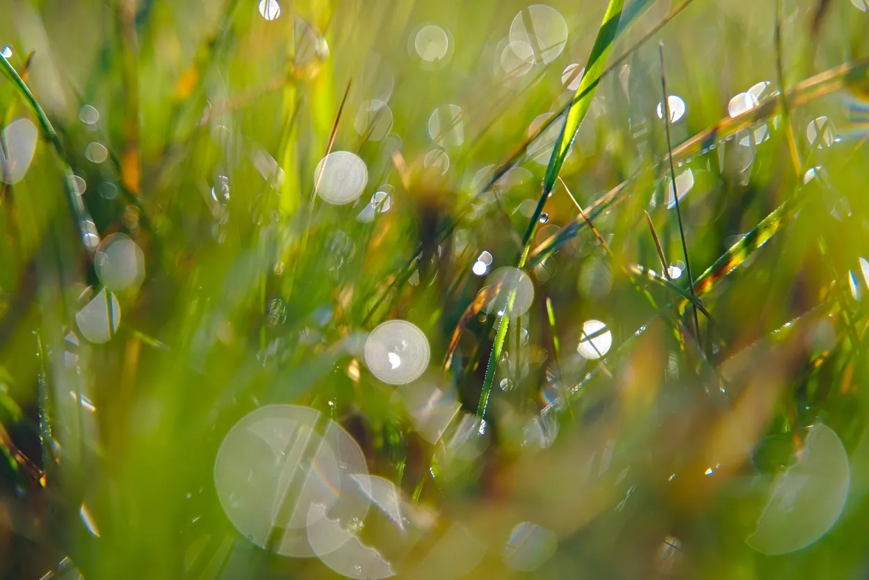 Droplets bokeh