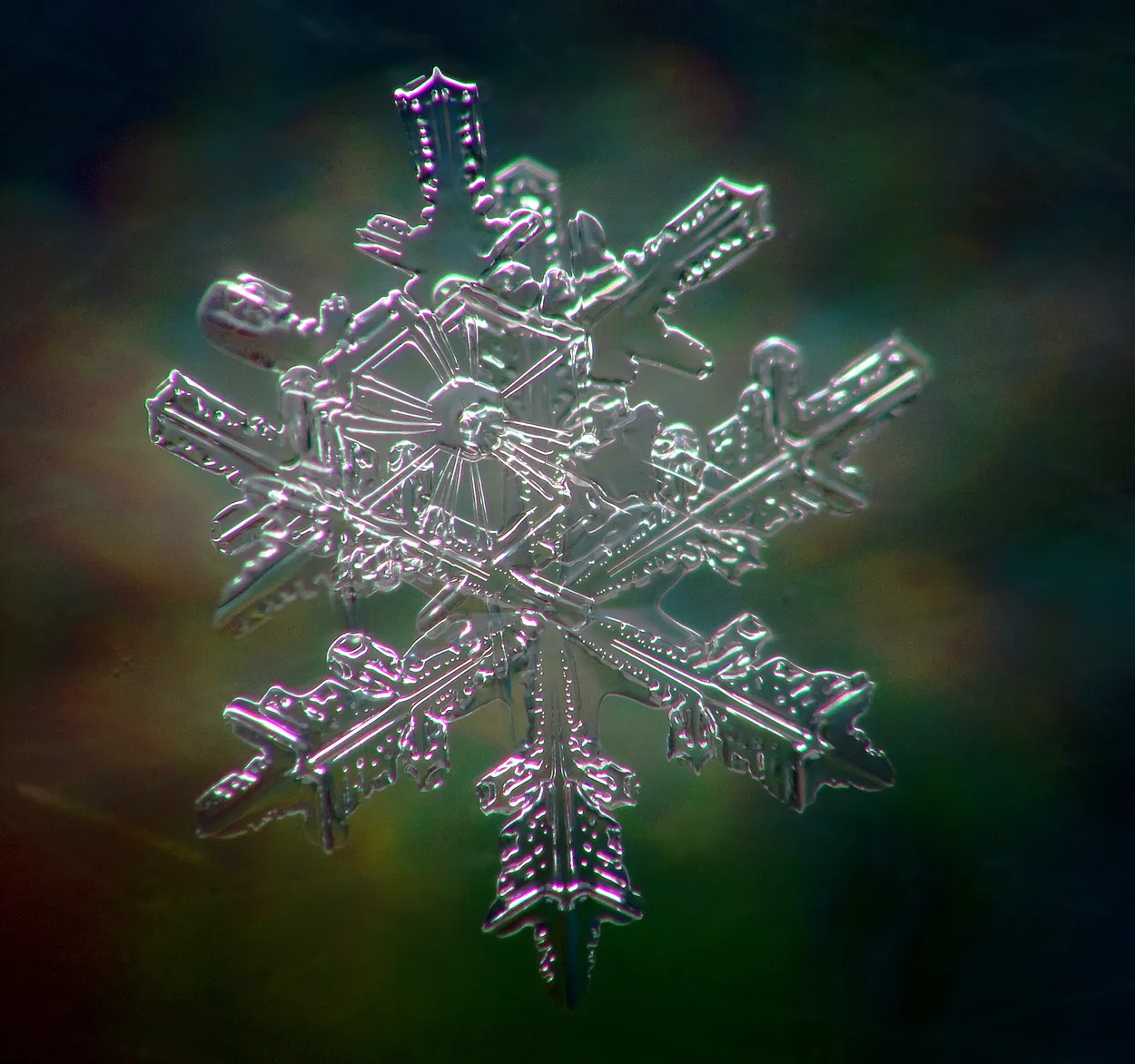 Entry 15010479
