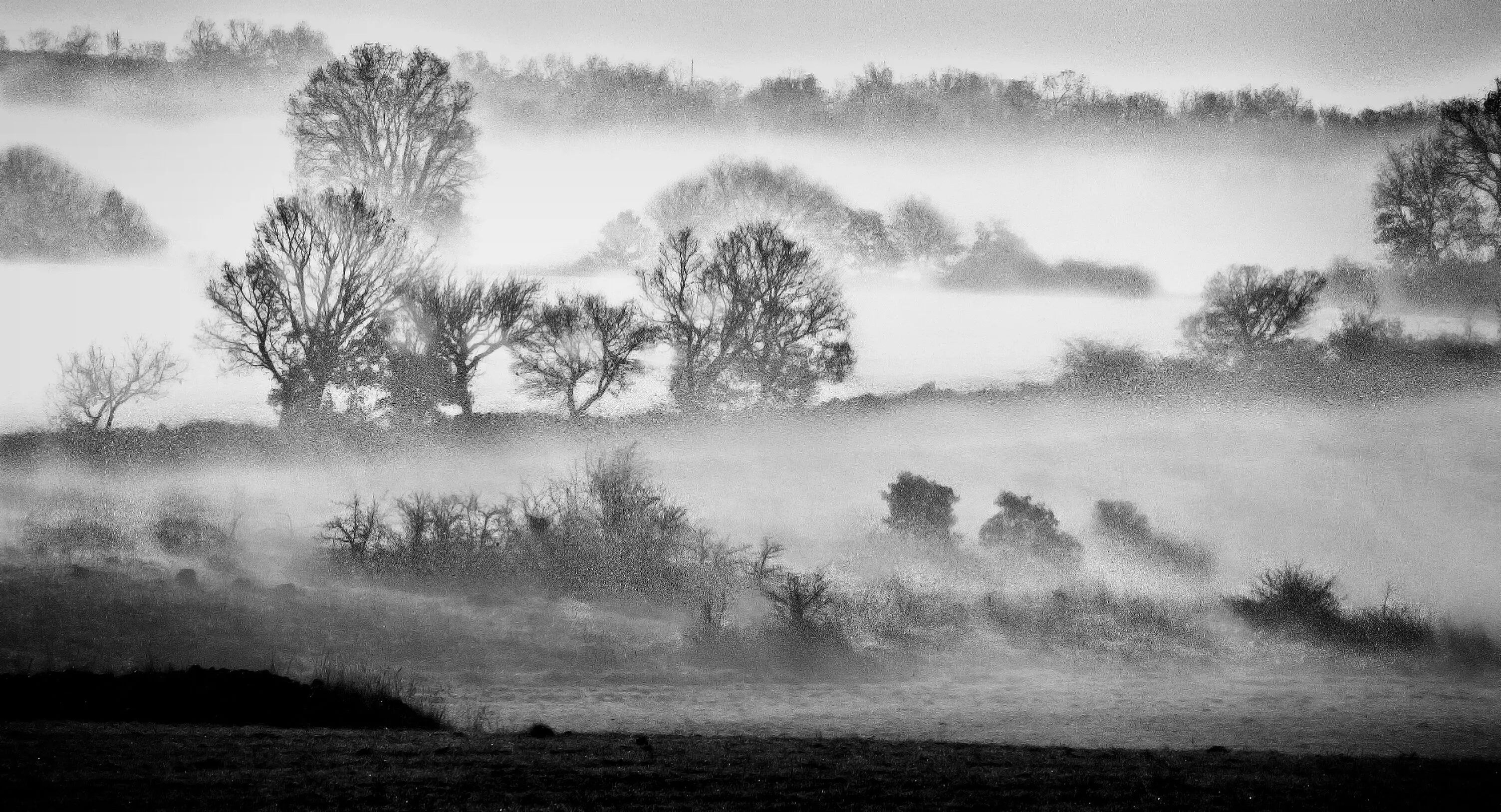 Fog on hills