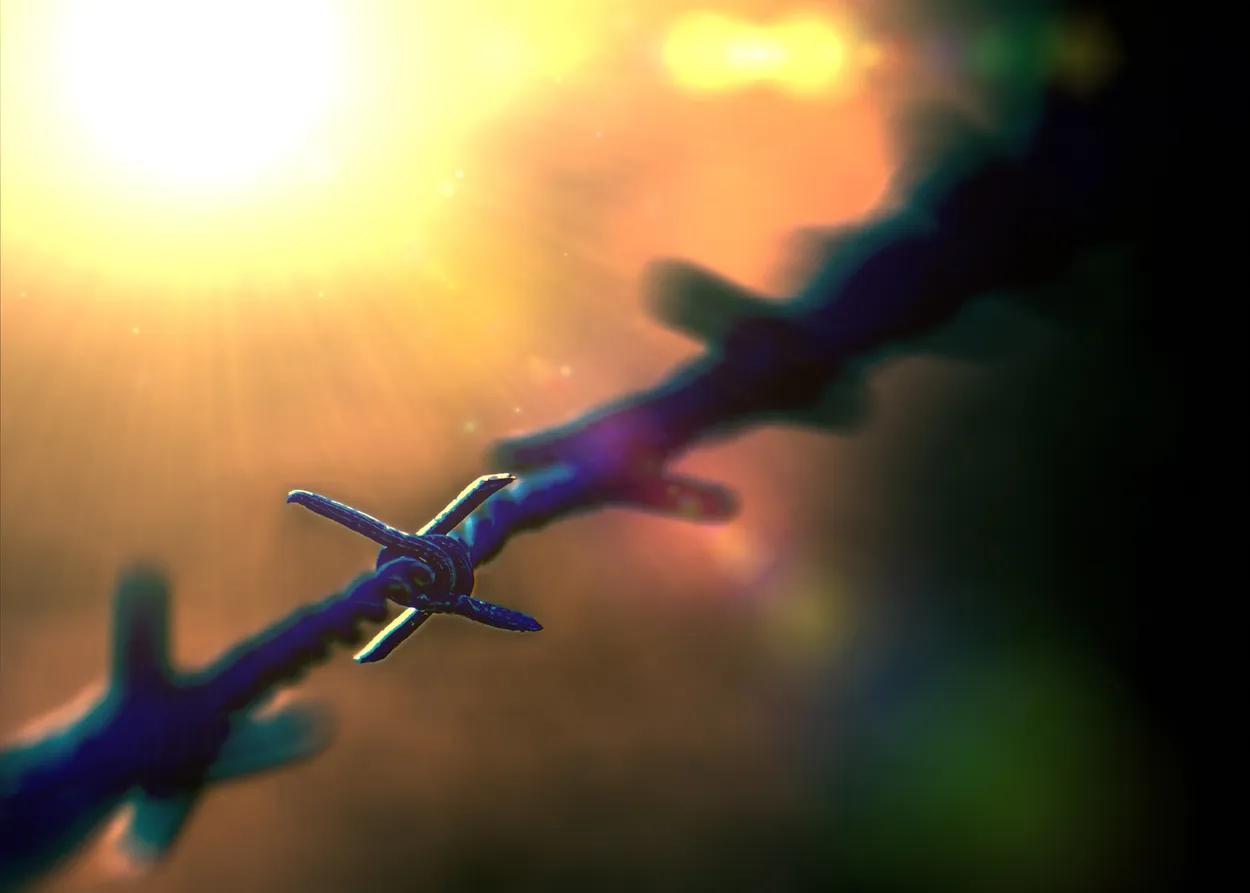 Entry 271956