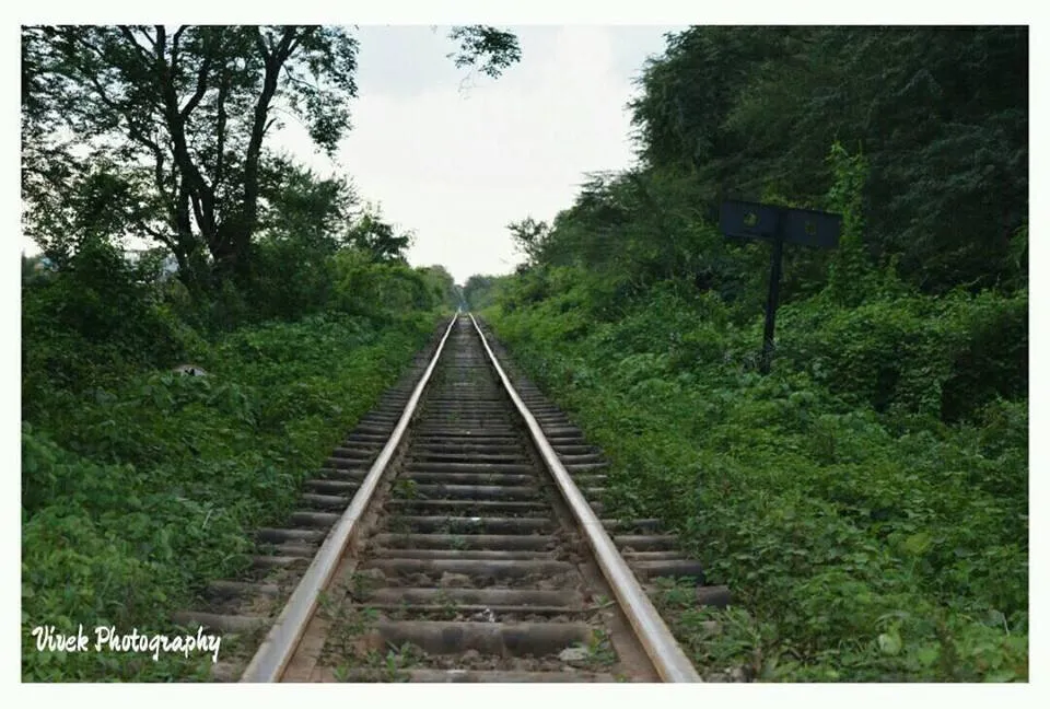 Entry 272006