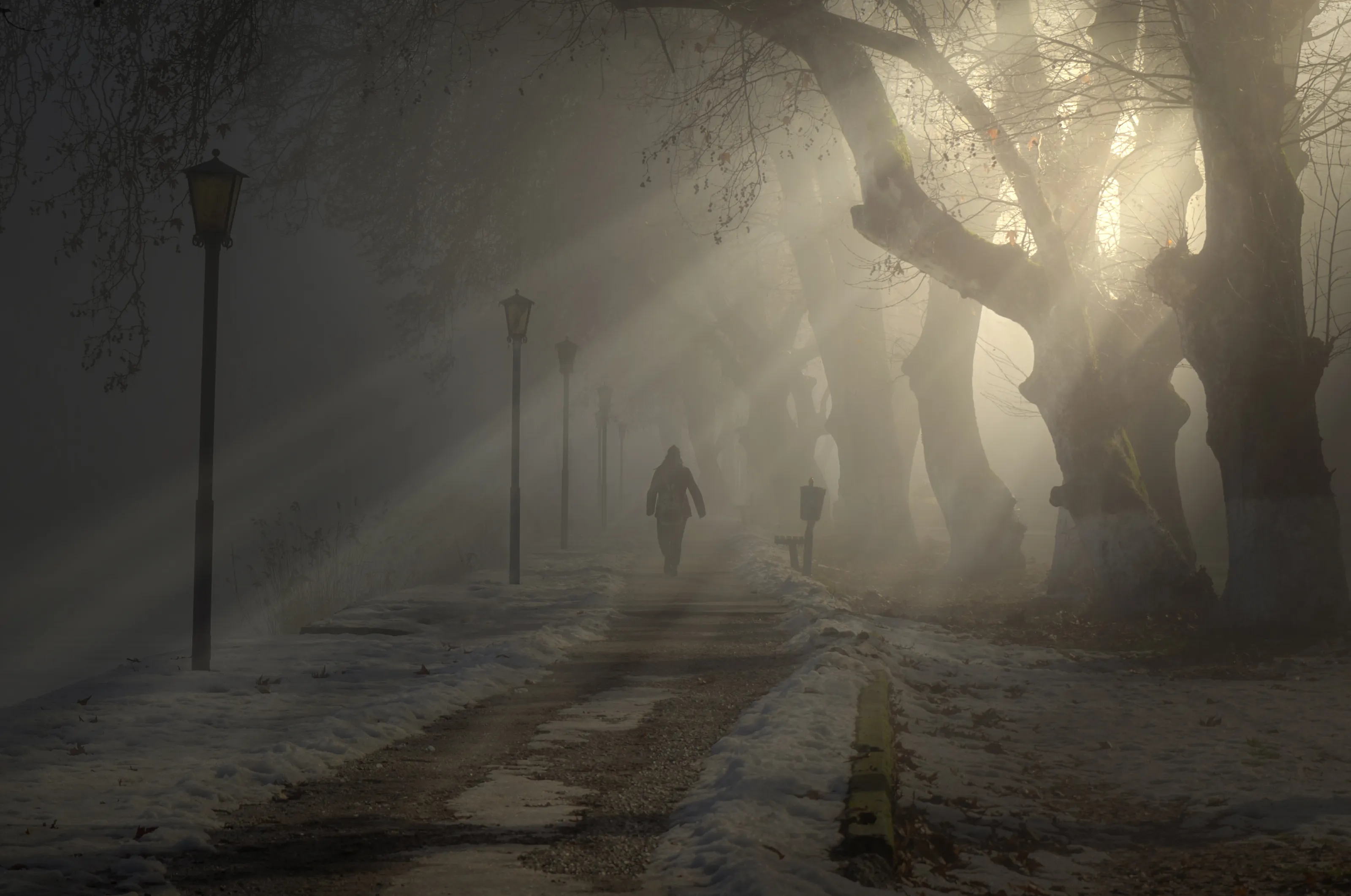Foggy Path