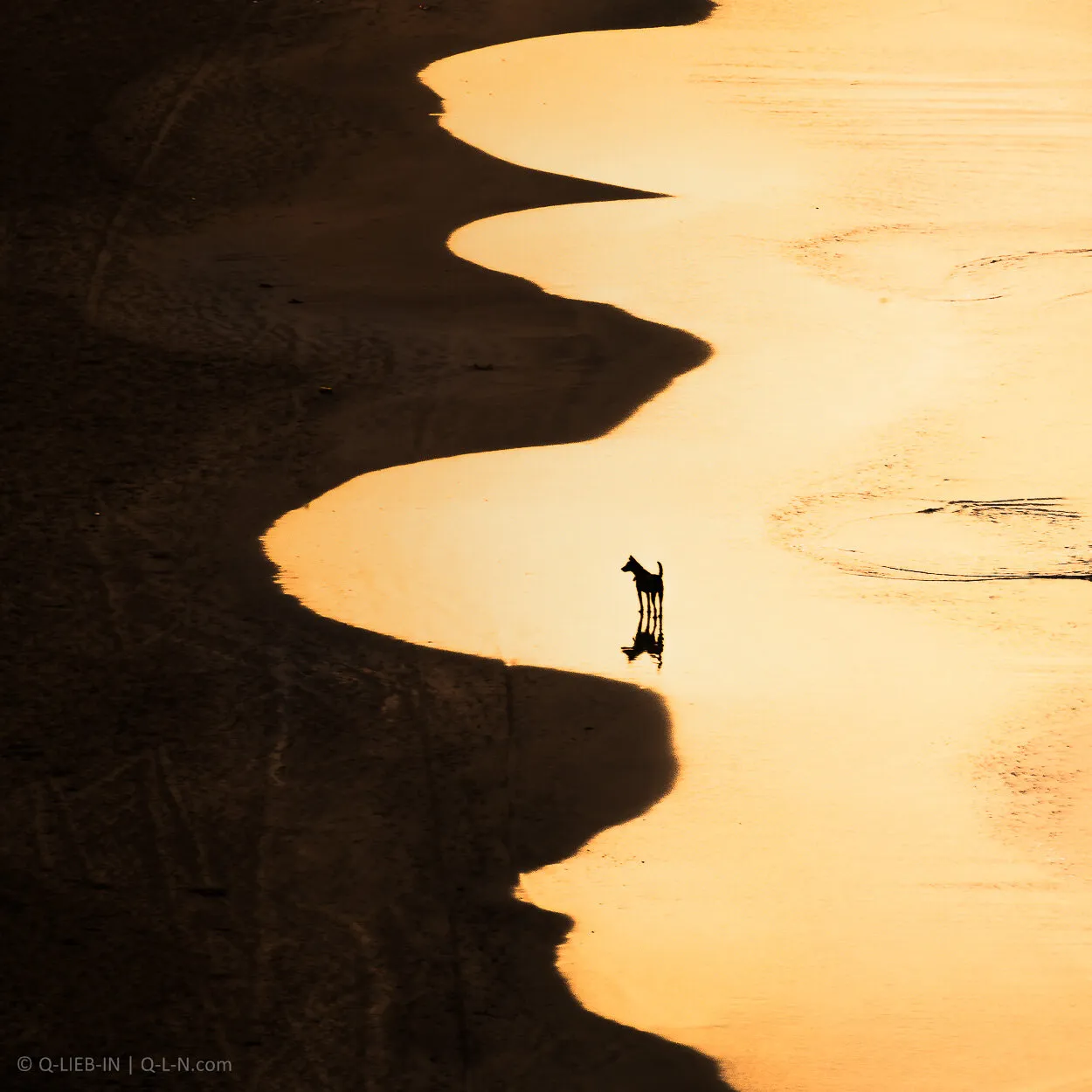 Entry 5347659