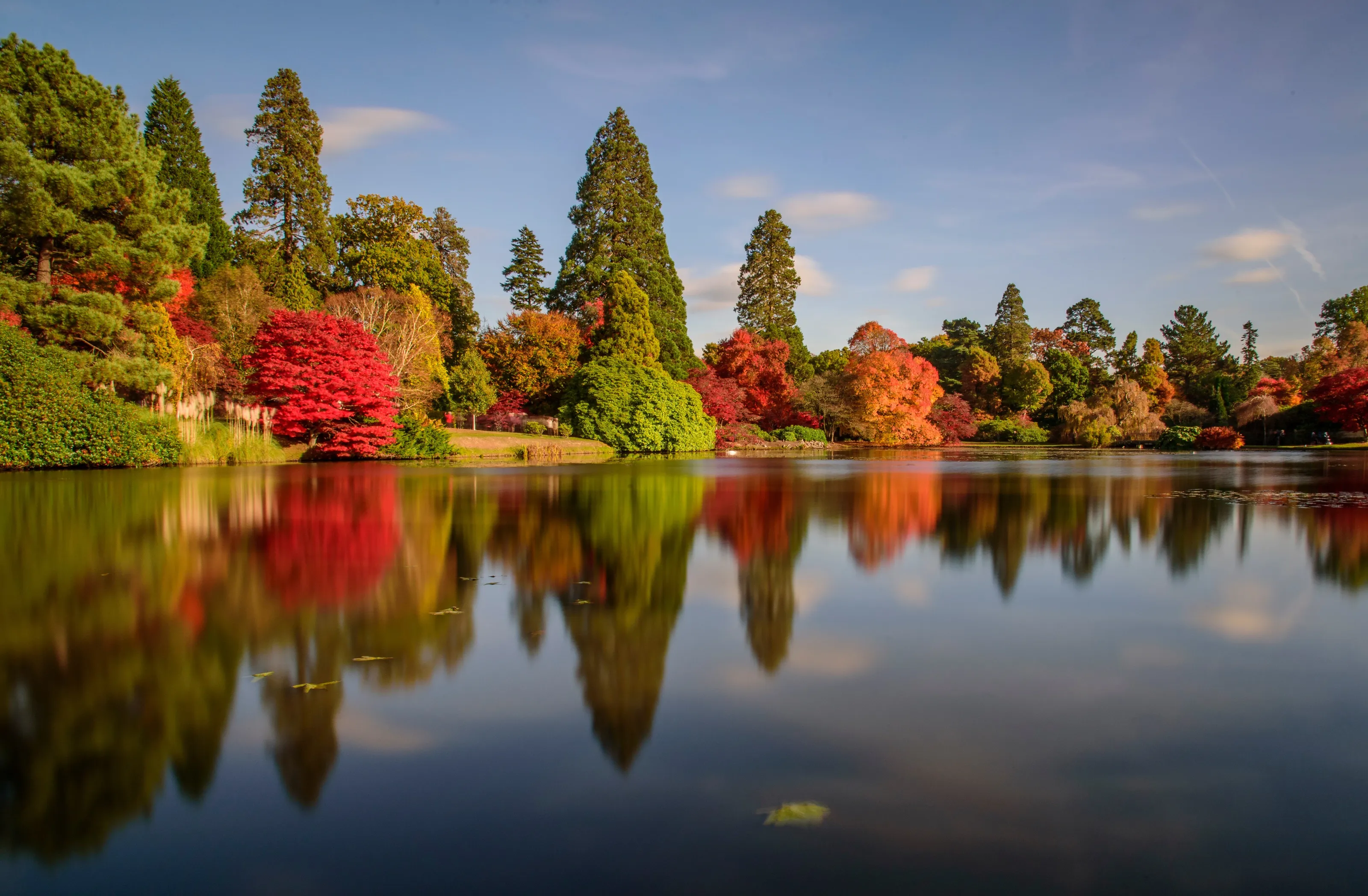 Autumn Reflections.