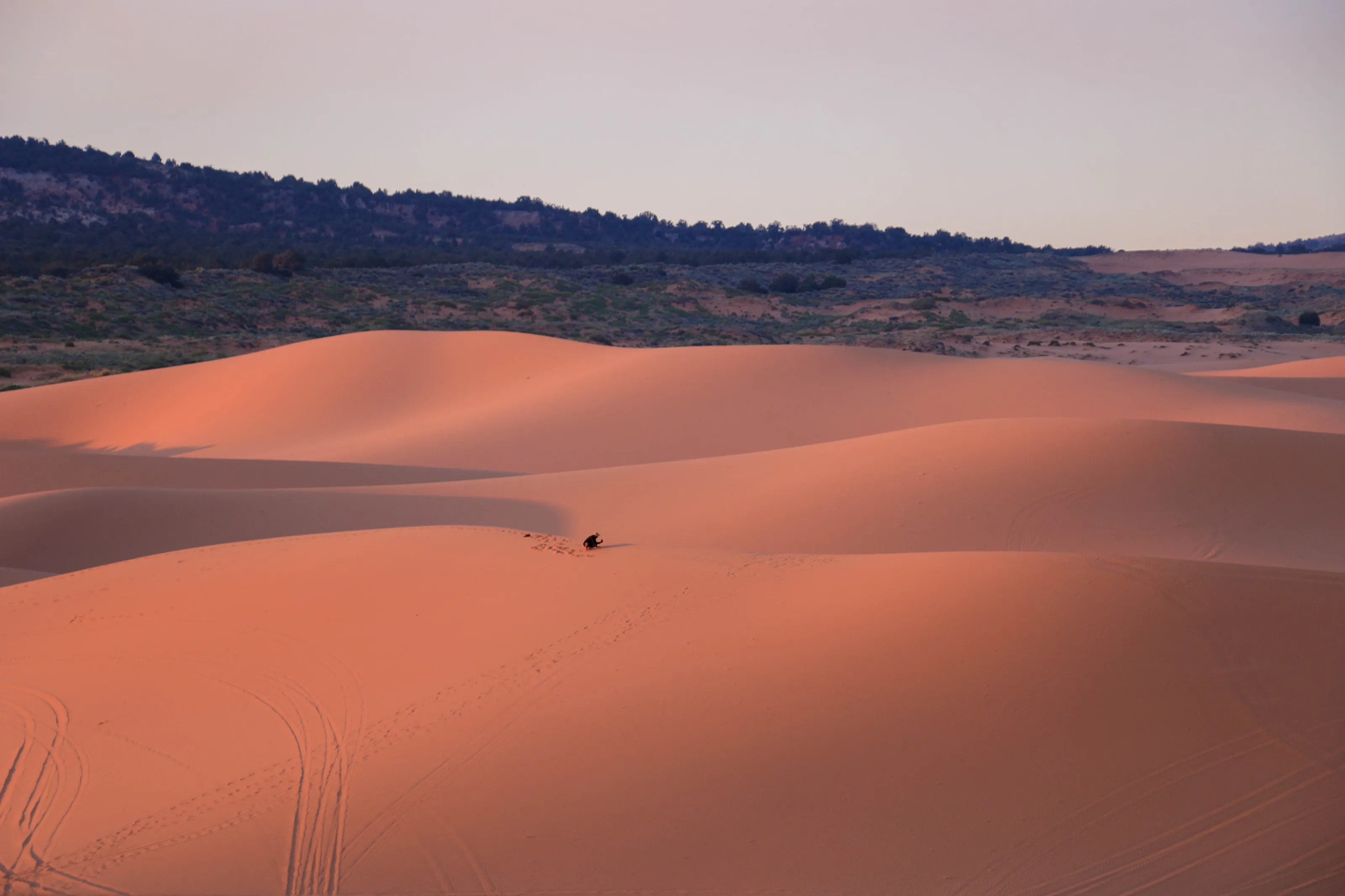 Man Taking Photo On Coral Pink Sand Dunes