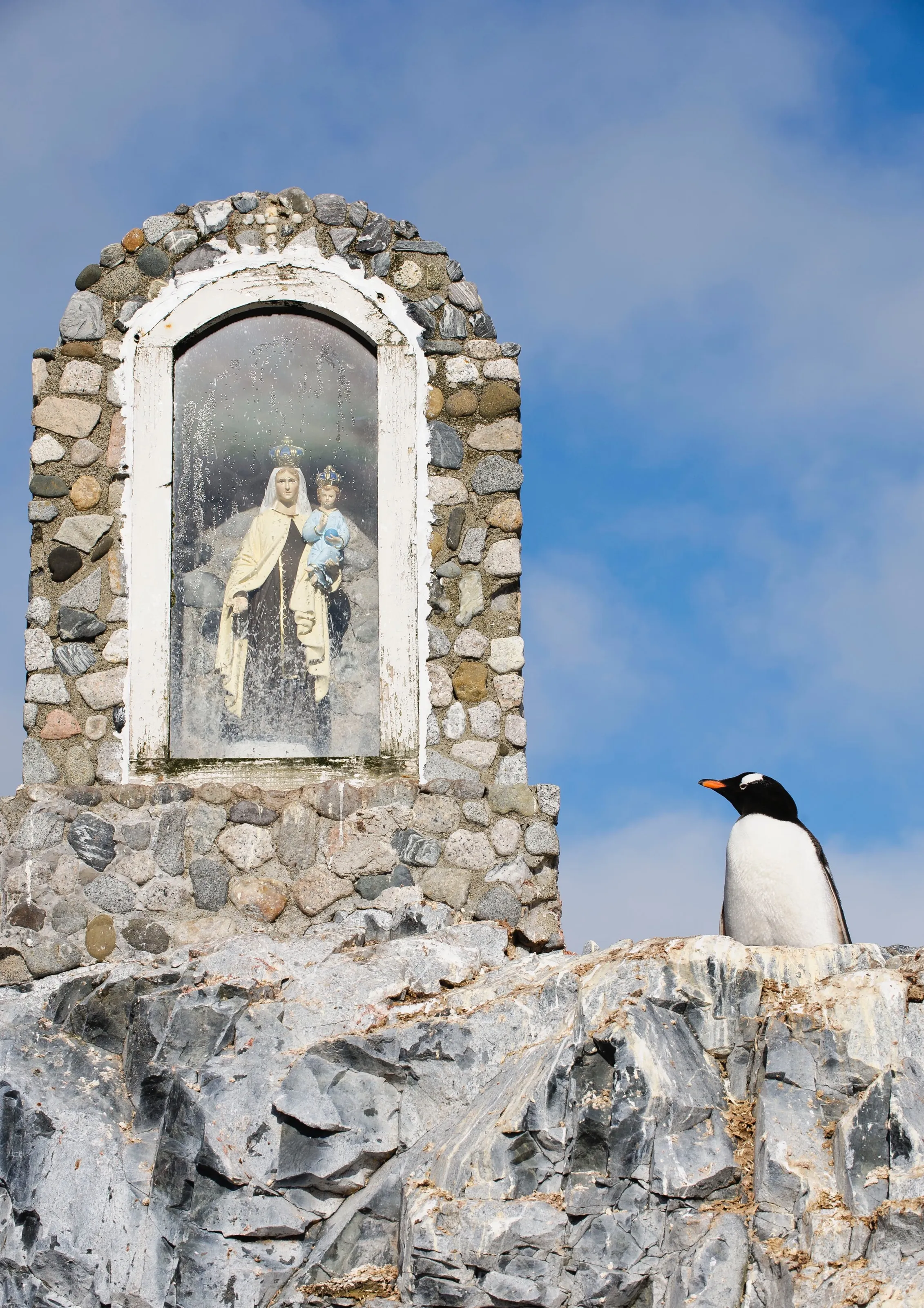 Antarctica Penguin's Nativity