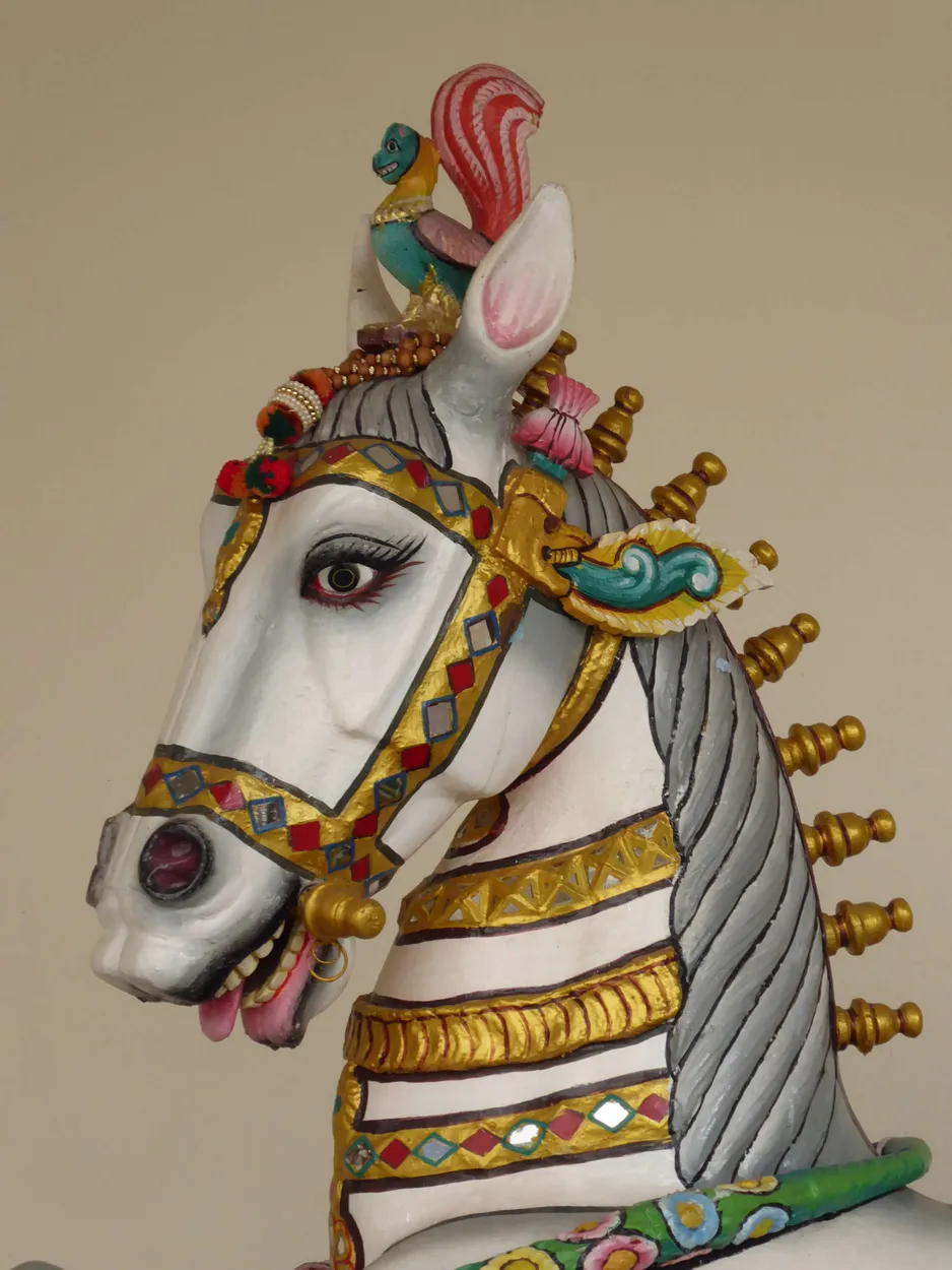Entry 11316130