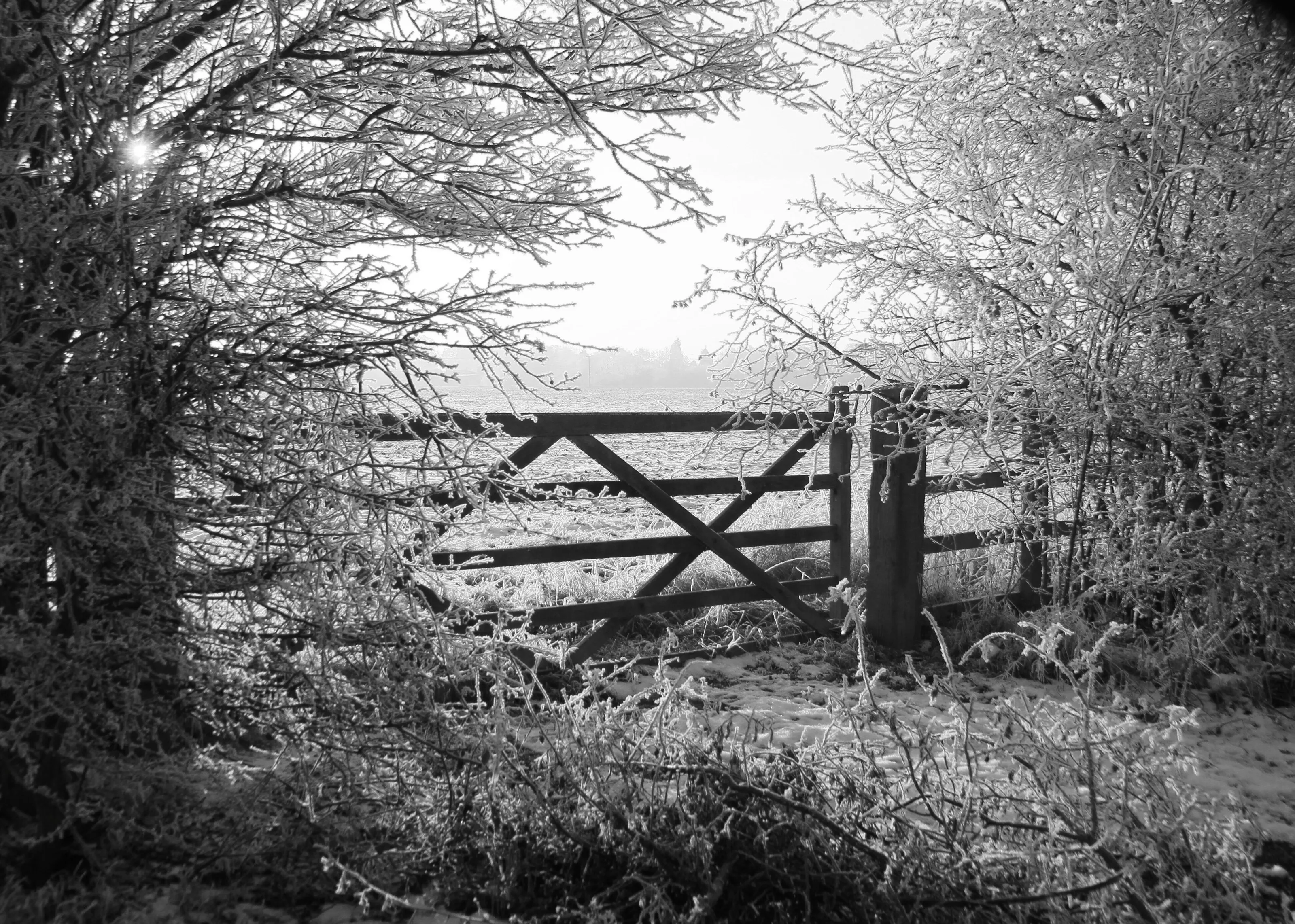 Frosty gate