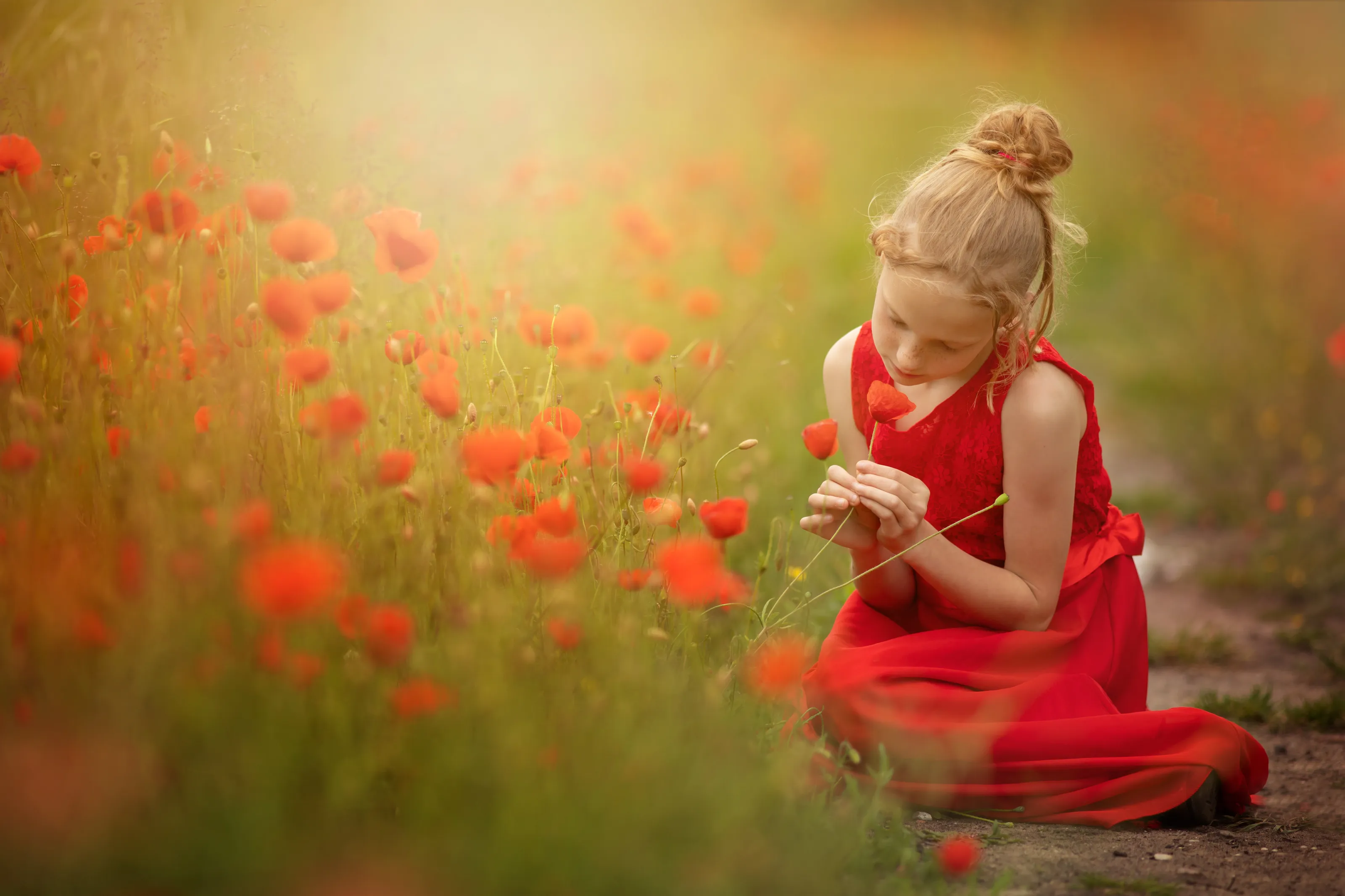 Poppies