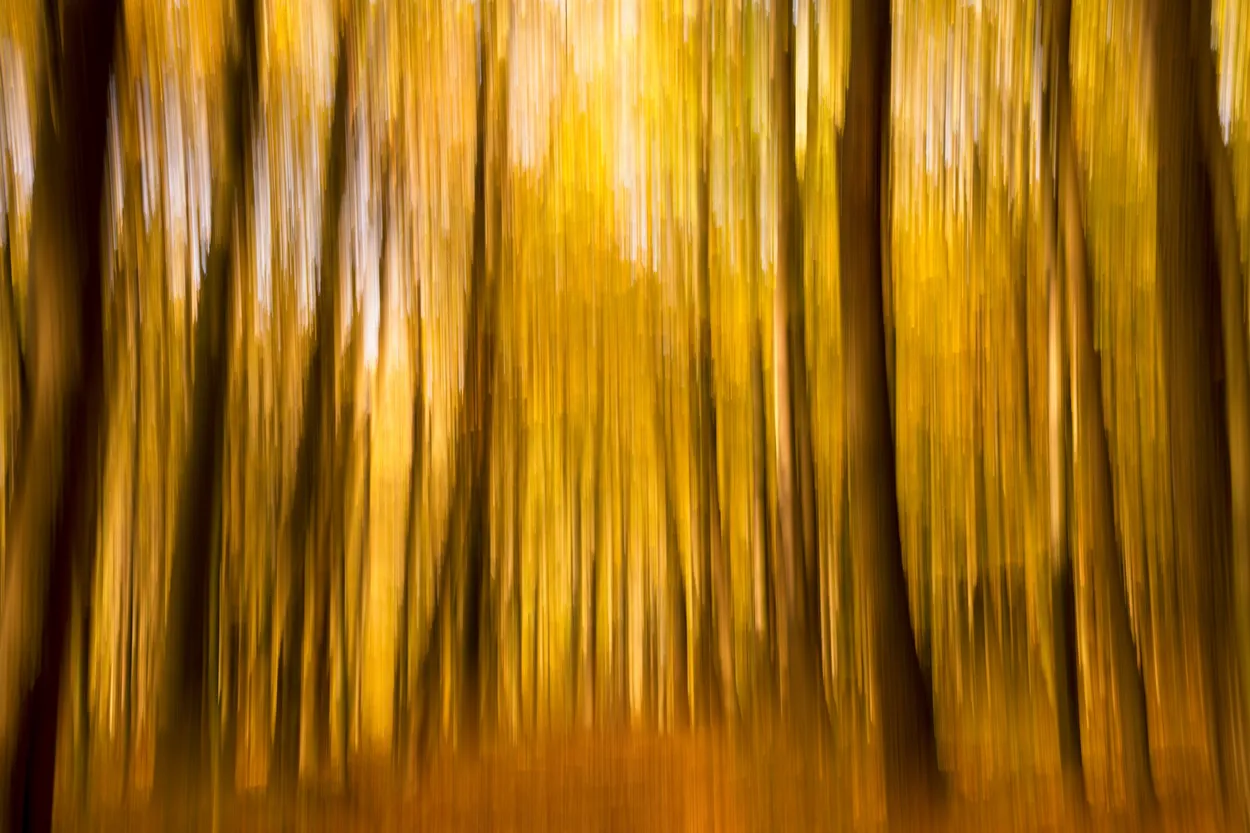 Autumn mood