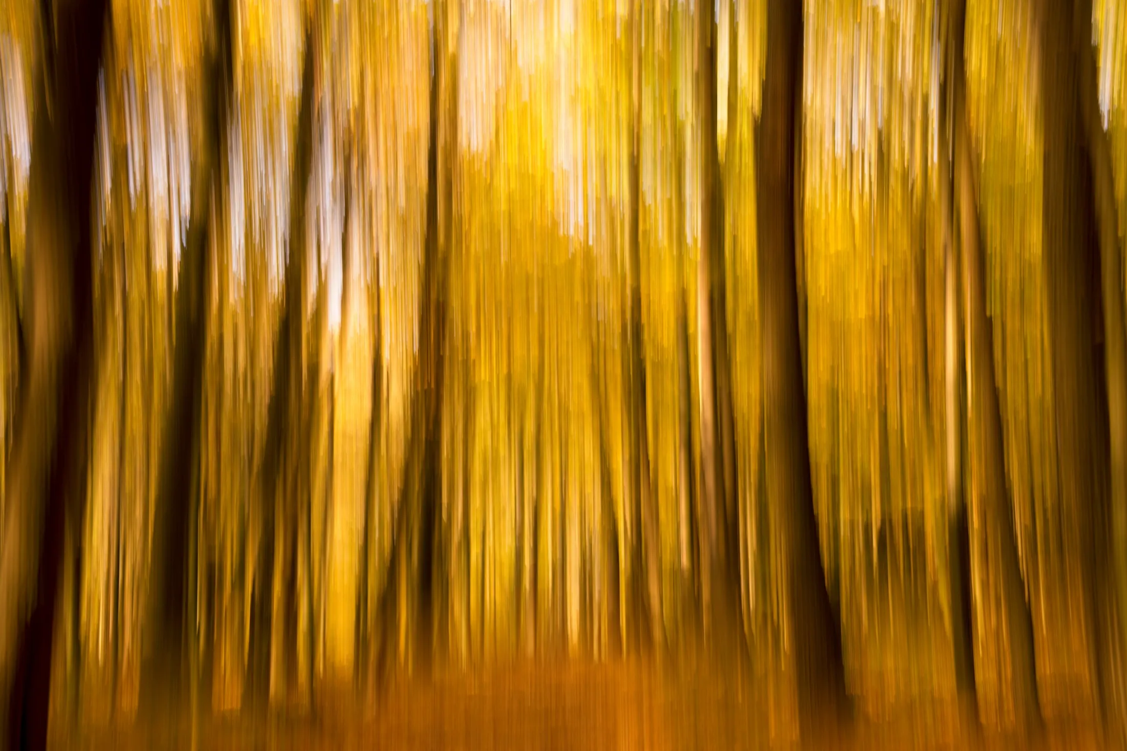 Autumn mood