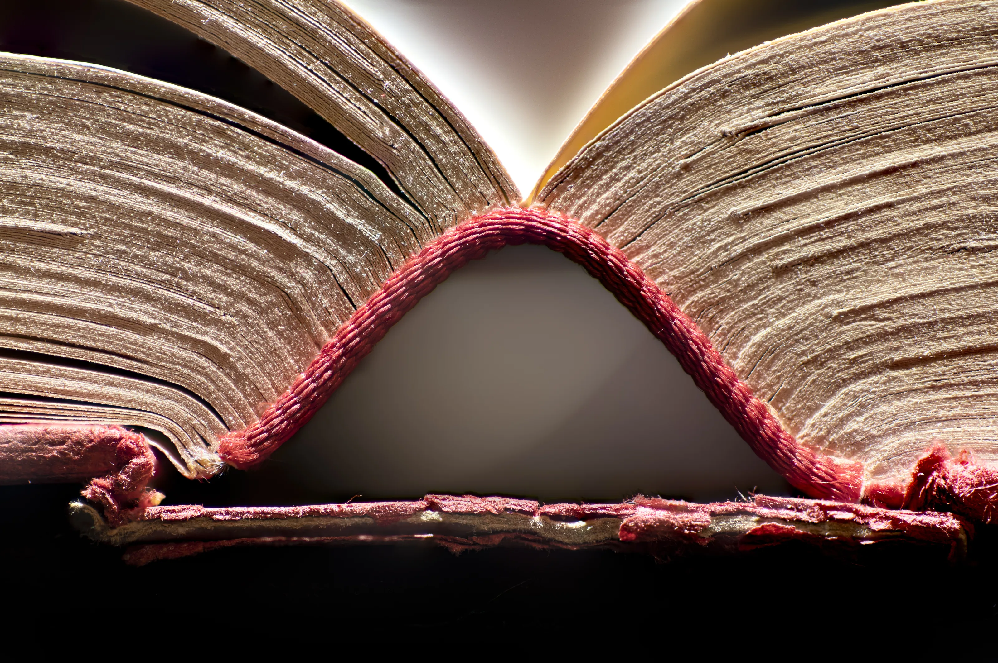 Liber  -  Books make us free