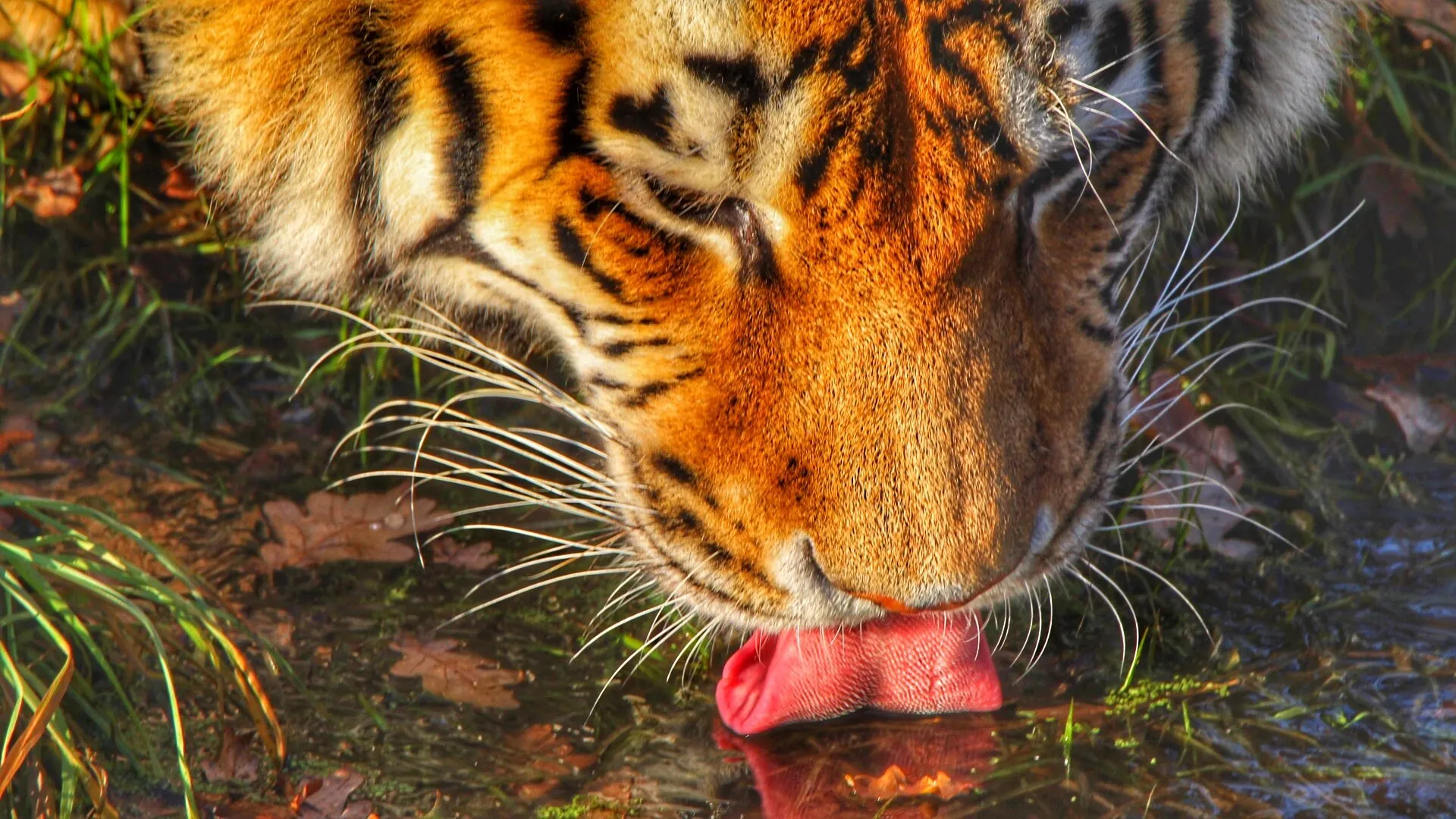 Thirsty Work