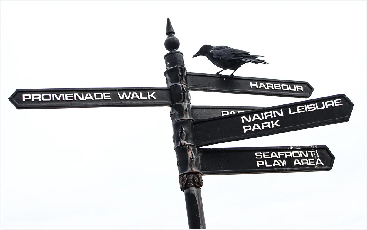 Entry 5386272