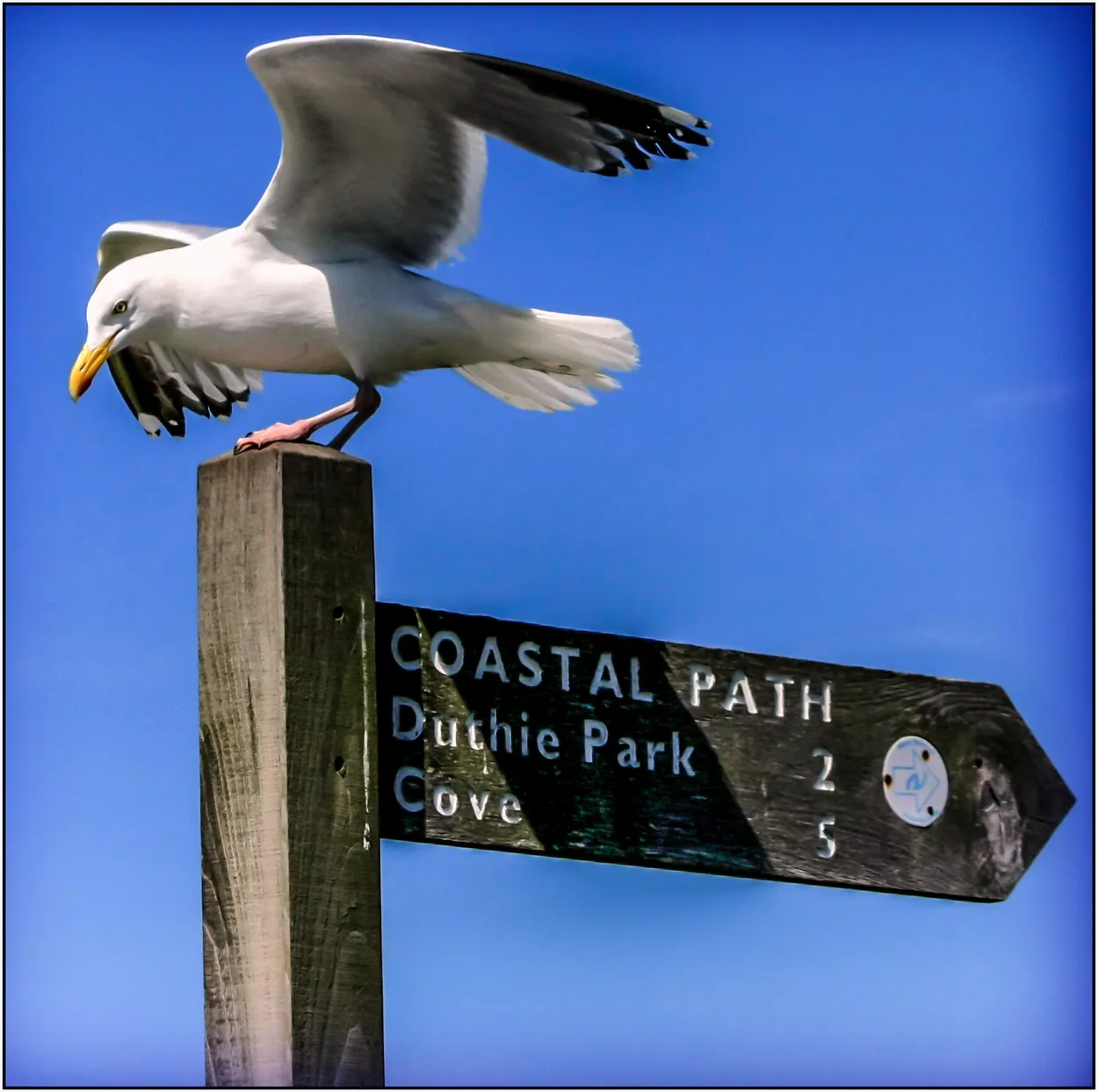 Entry 7513080