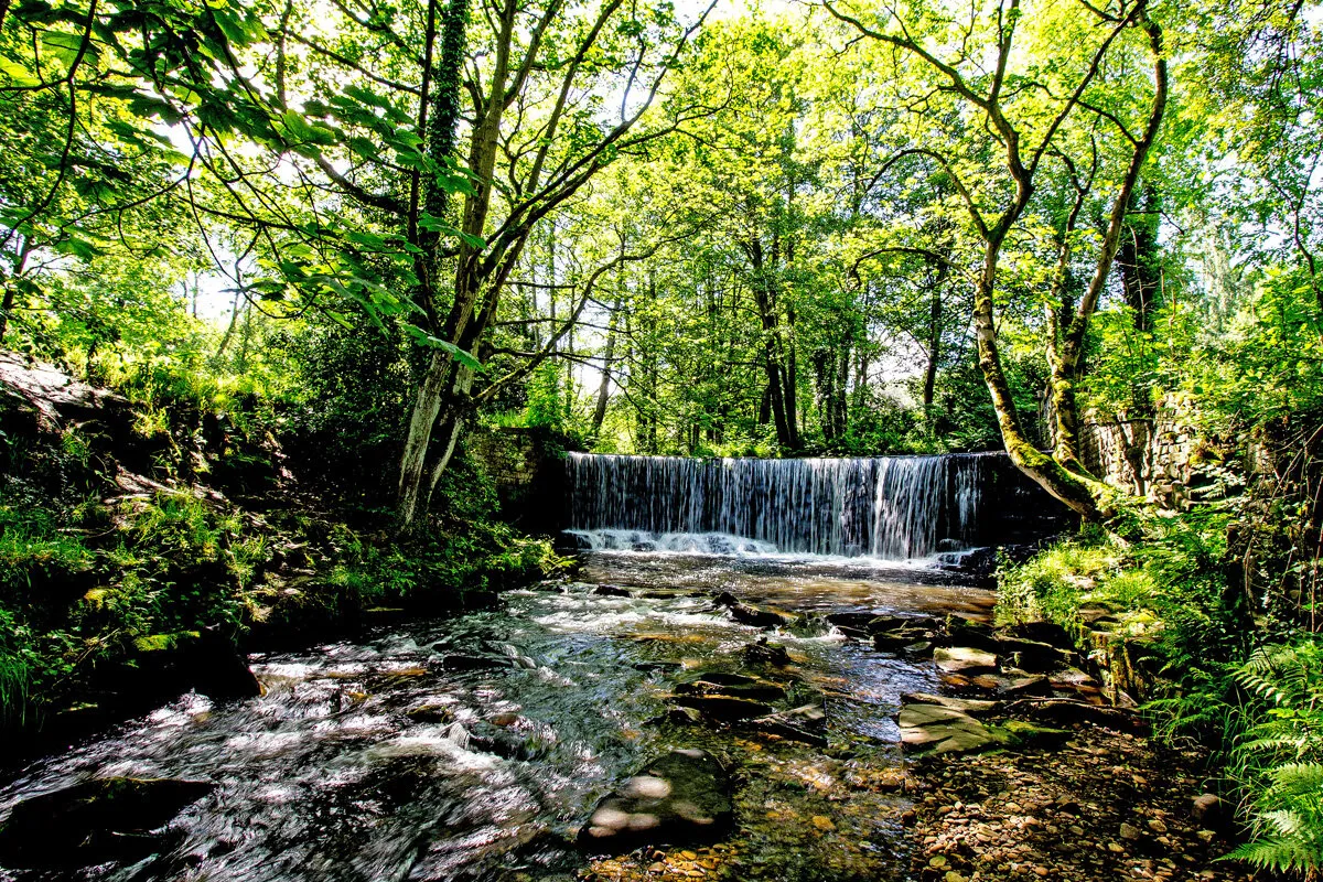 Waterfall in woodland