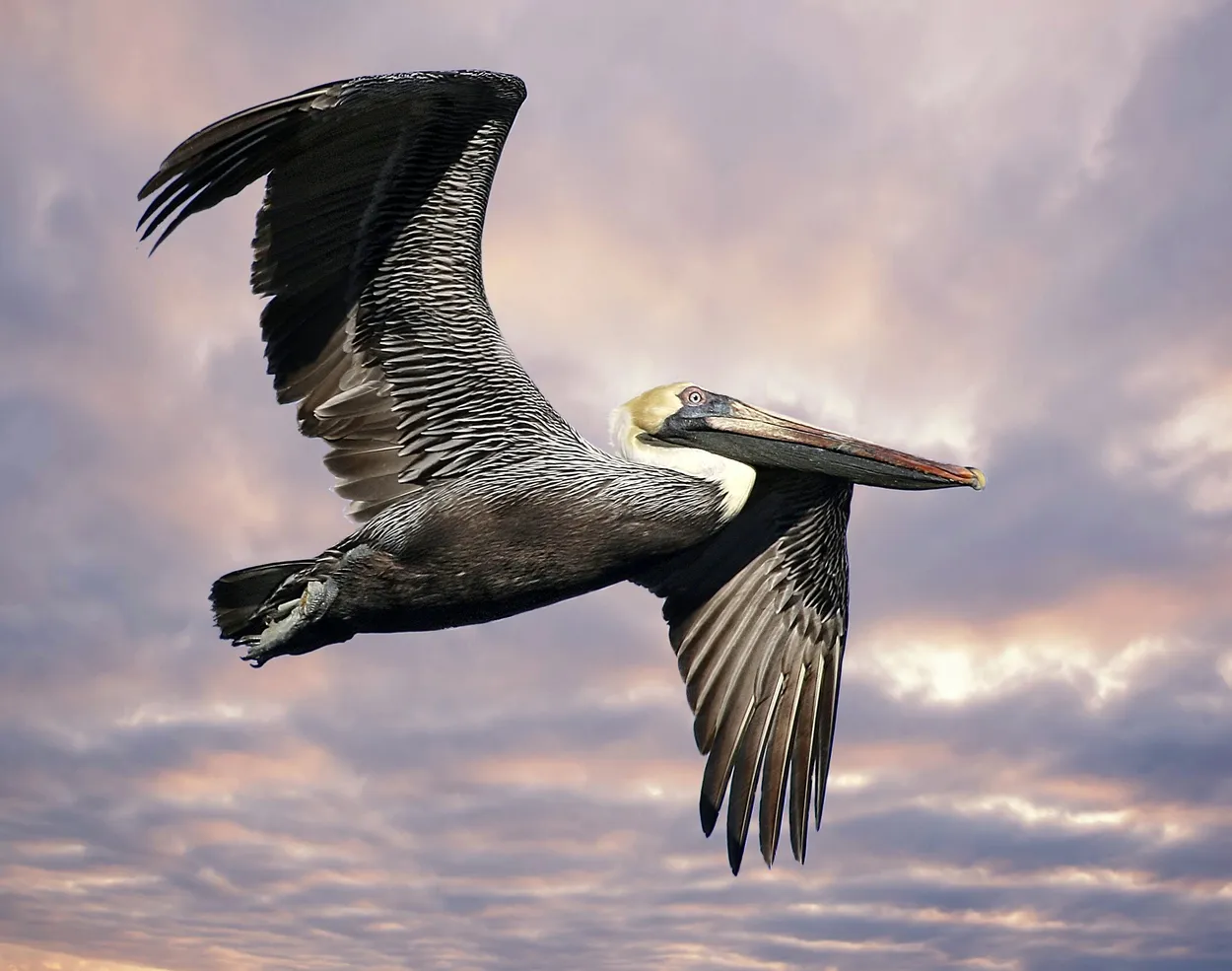 Entry 30215