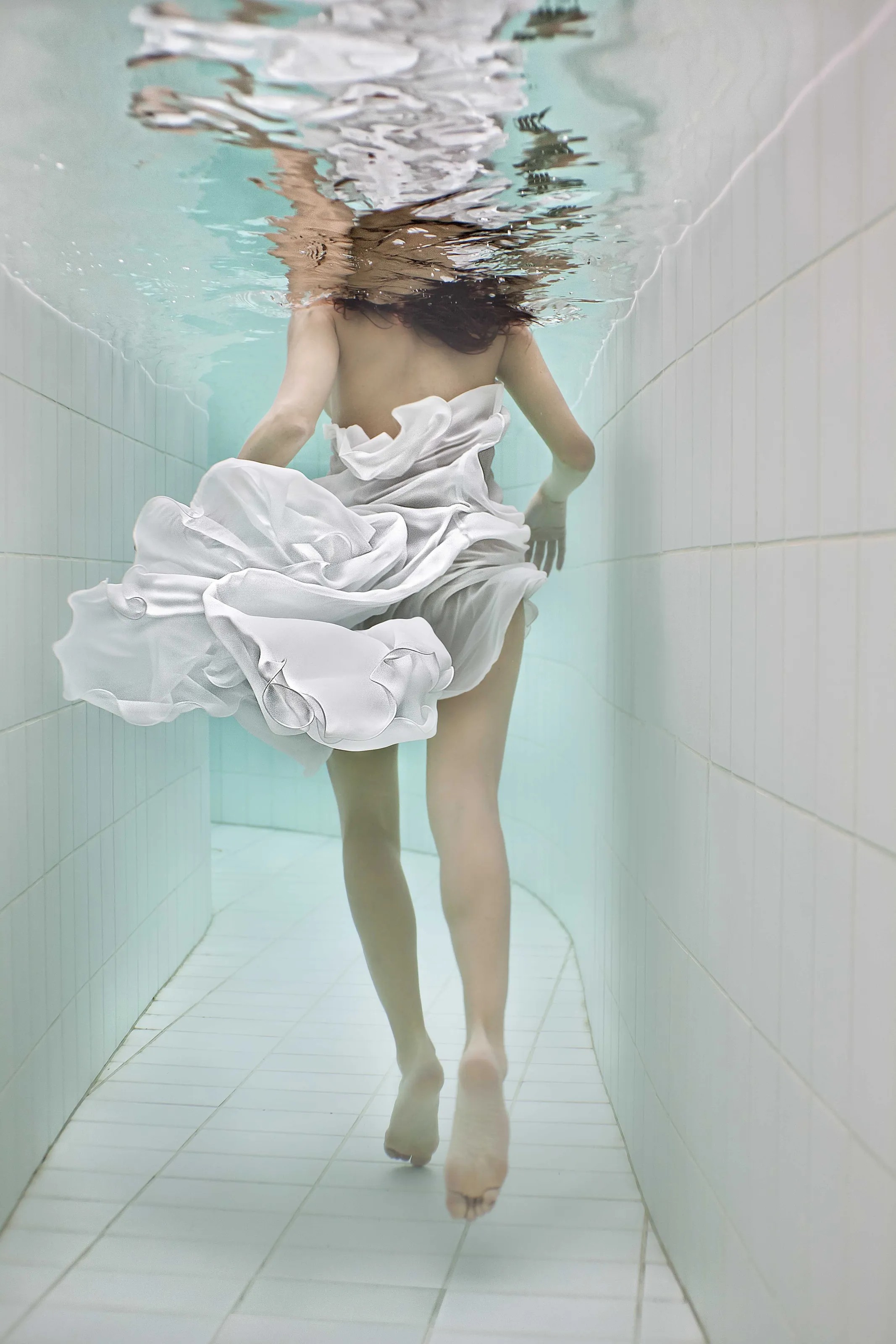 acquaria