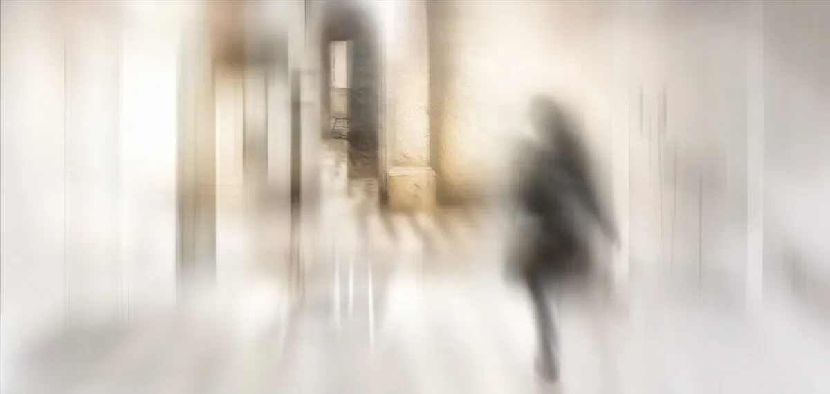 Entry 11181462