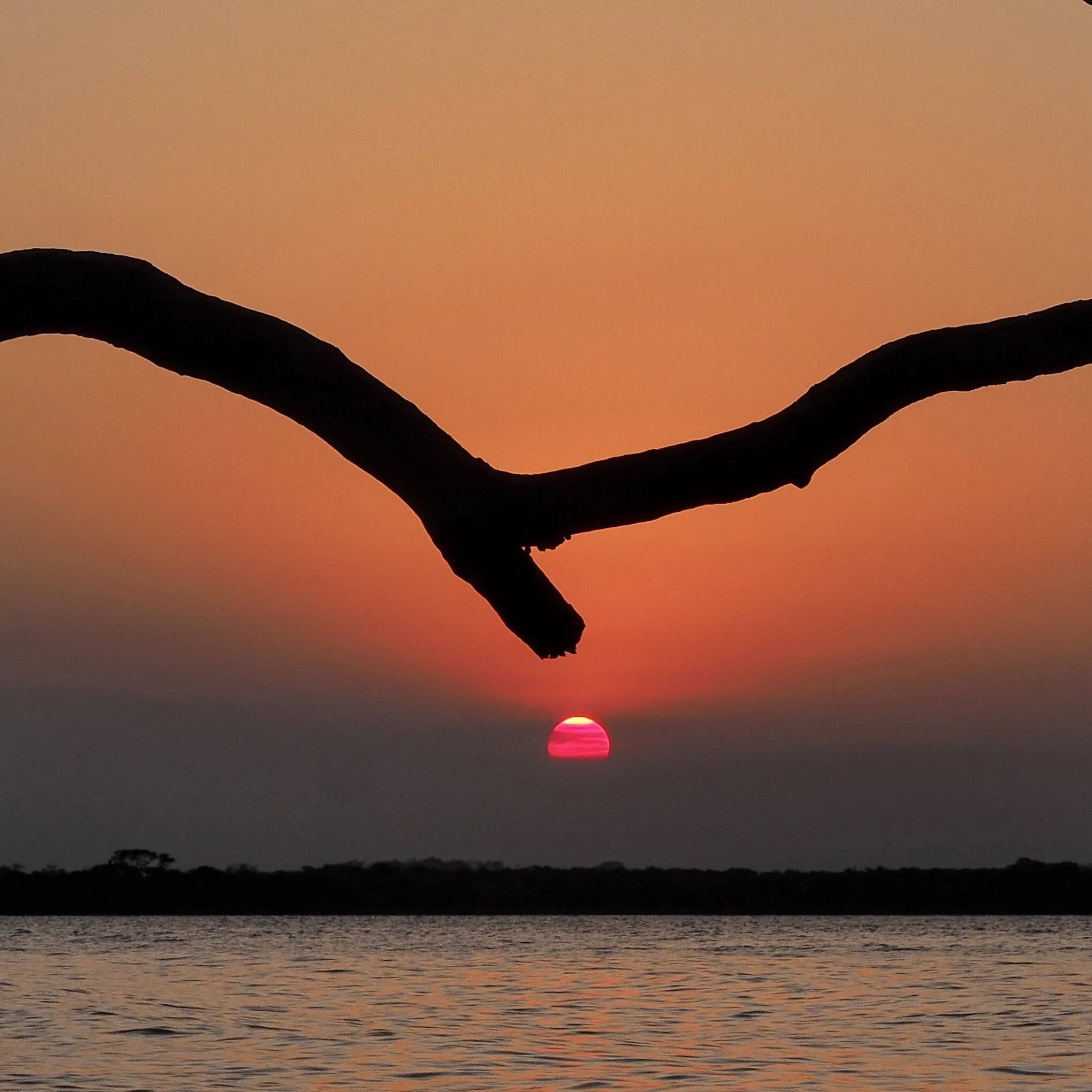 Smokey Sunset