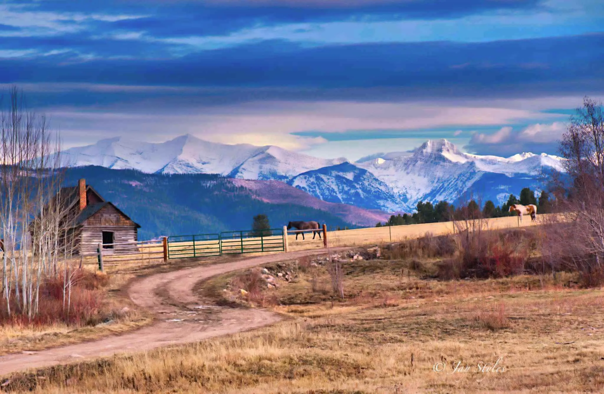 Homestead with a Montana View.