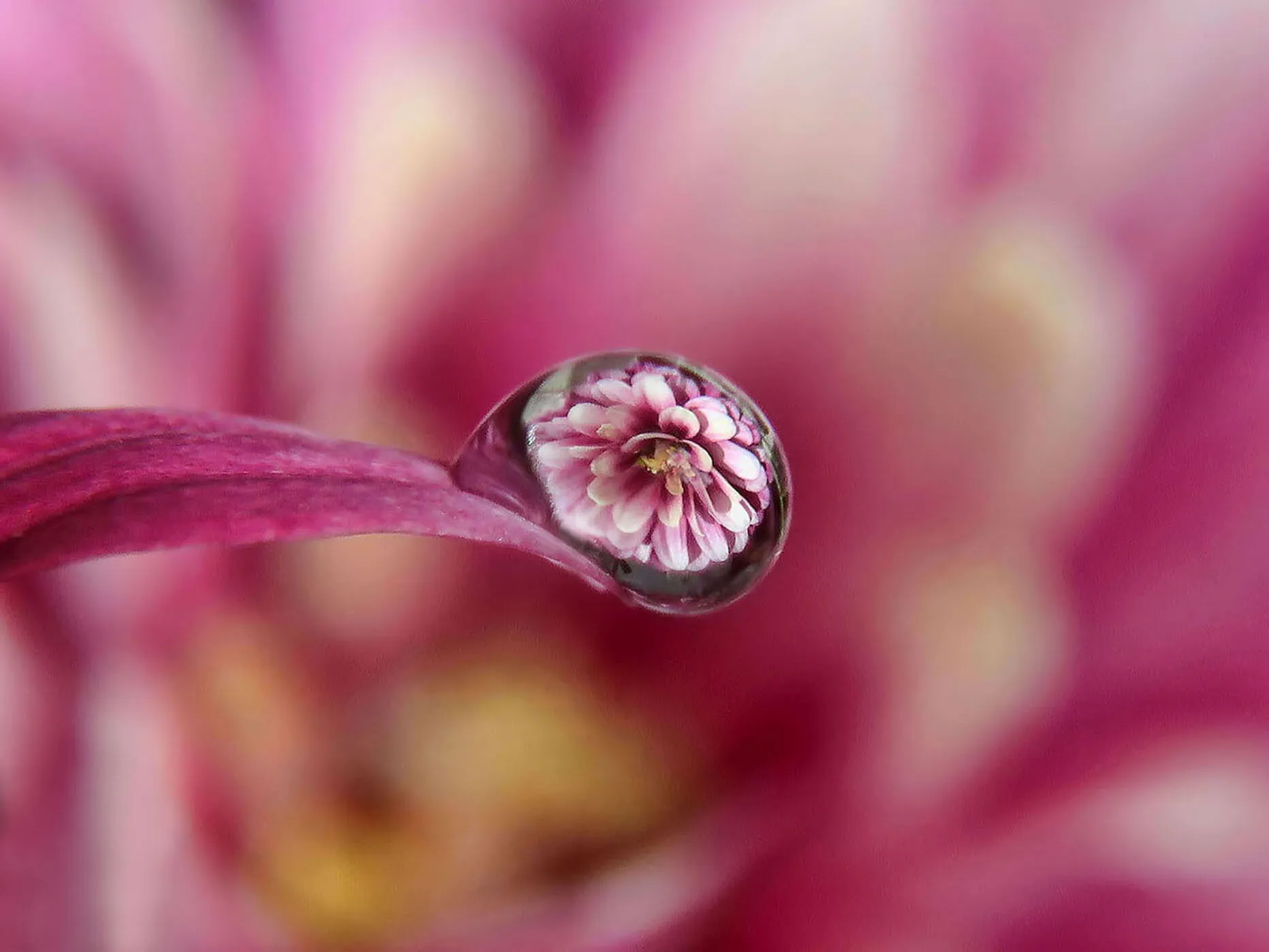 Water Droplet