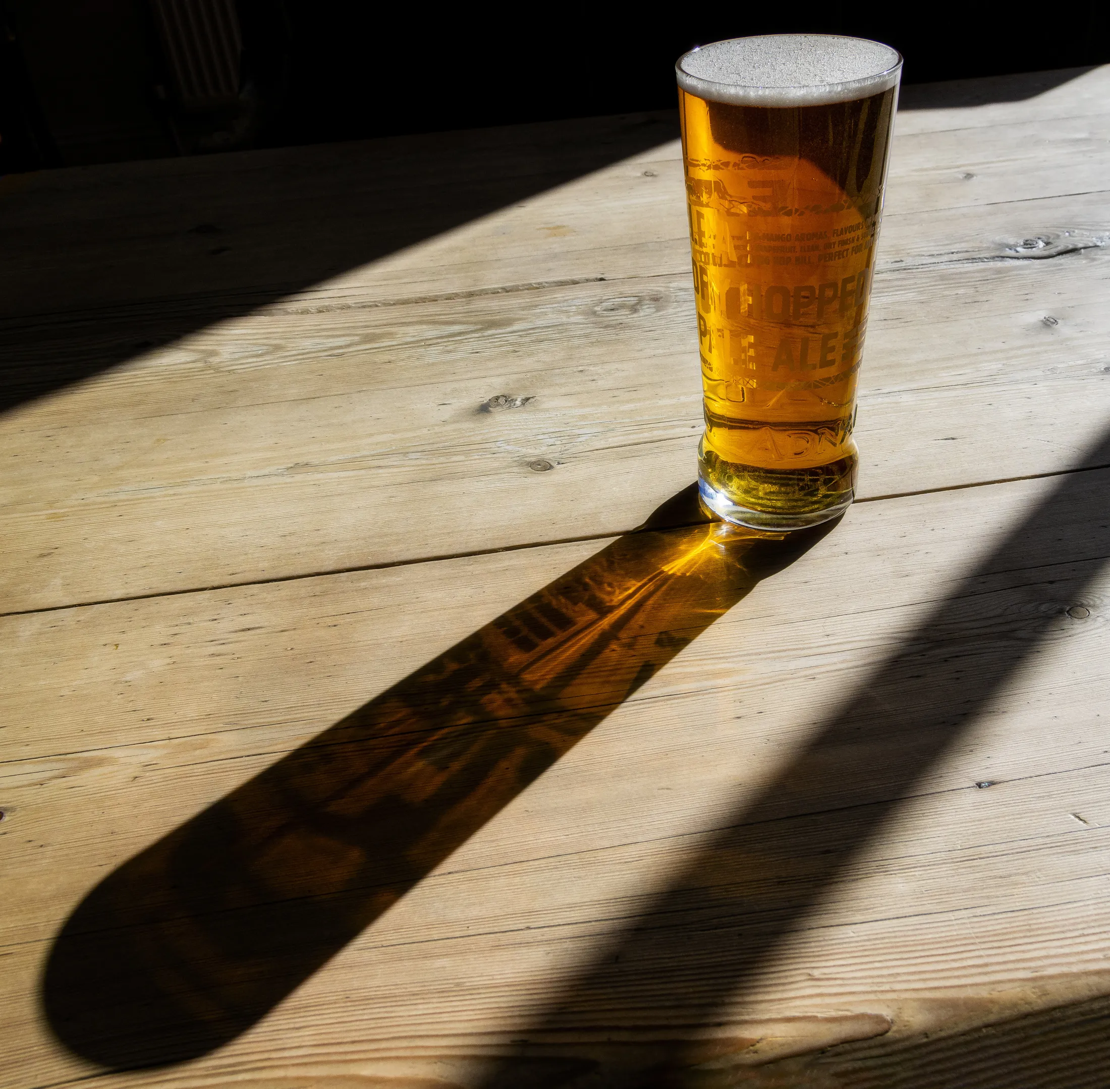 Pint of Hopped Ale