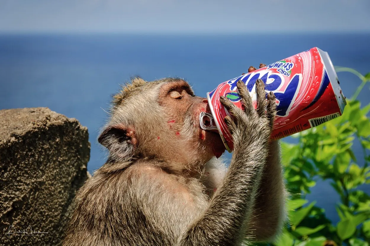 A little drink
