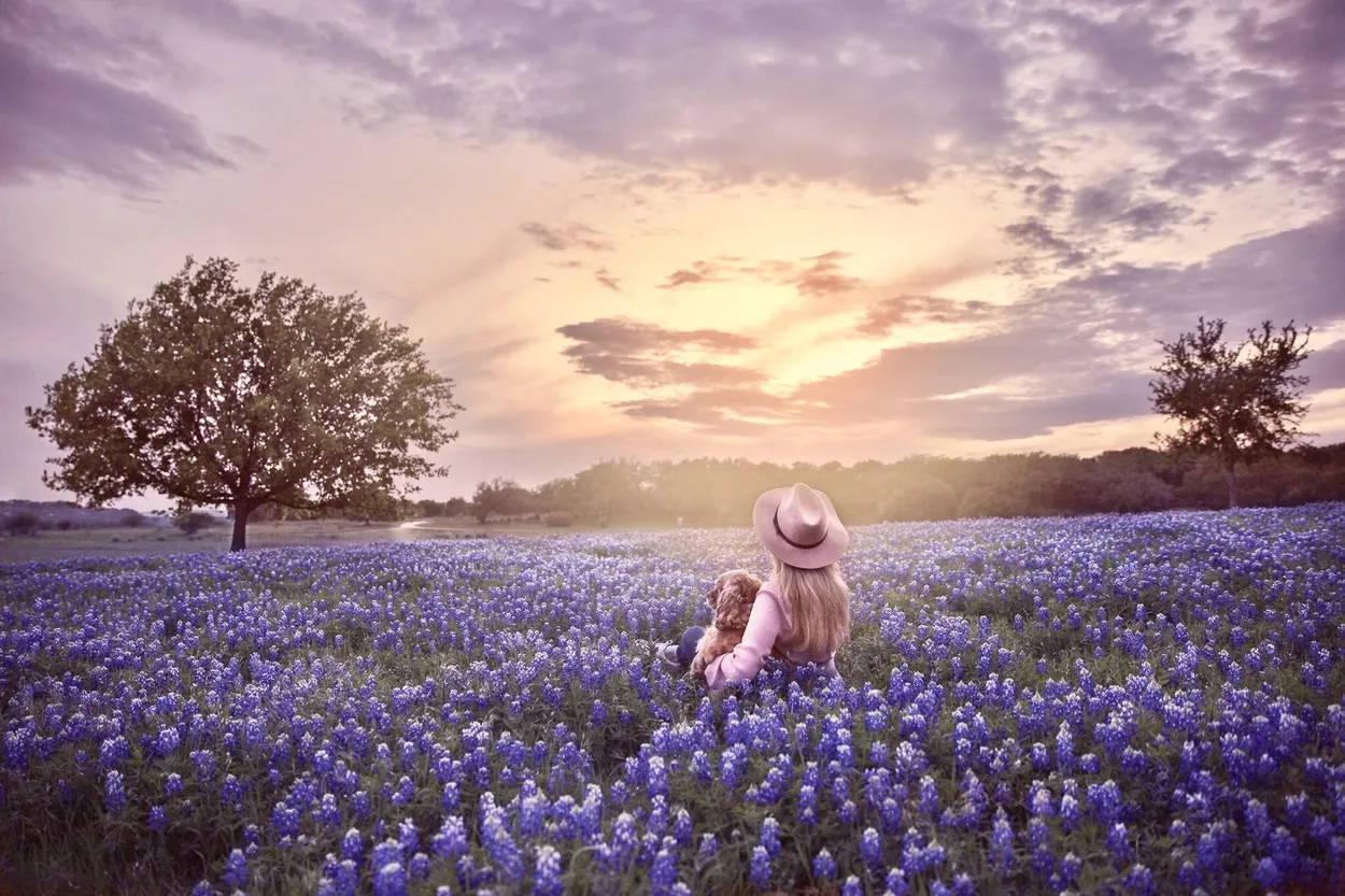 Field of Dreams