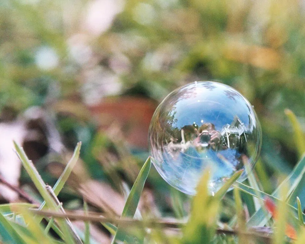 Self-Portrait in a Bubble