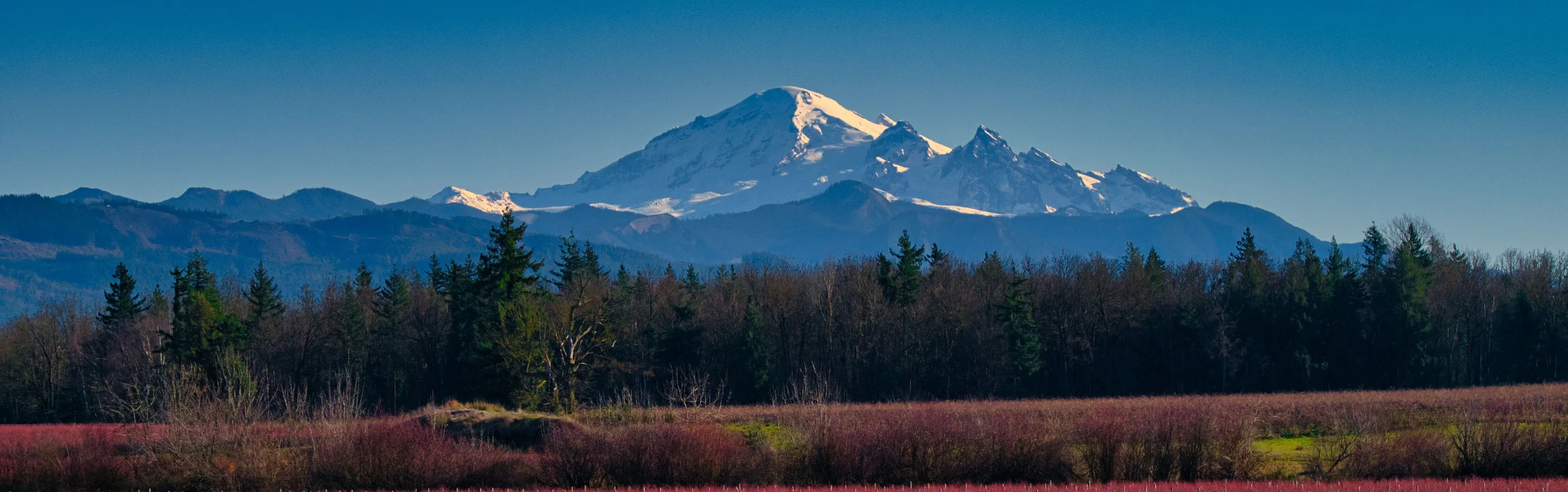 Mt Baker in December.