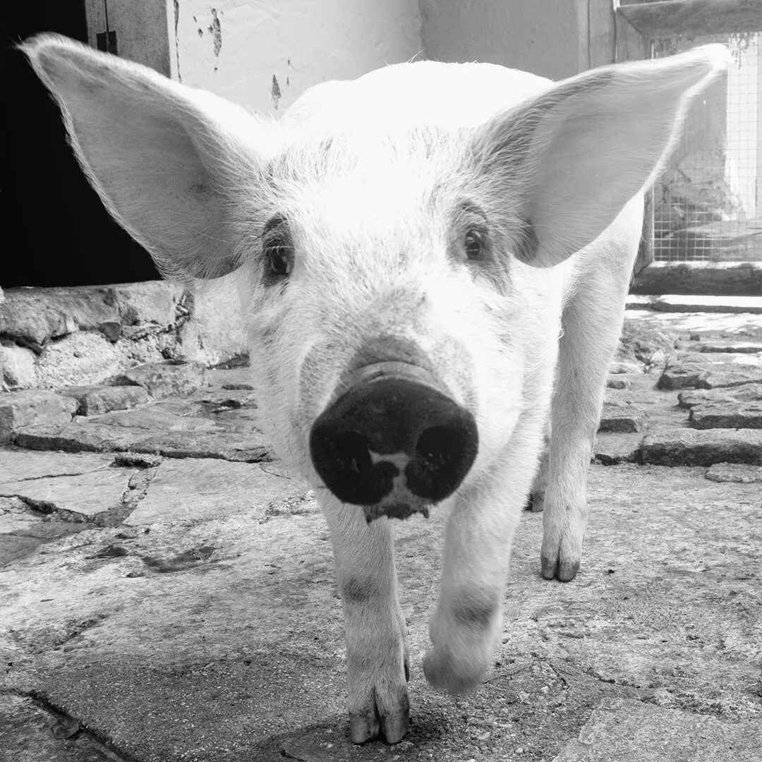 Entry 5427780