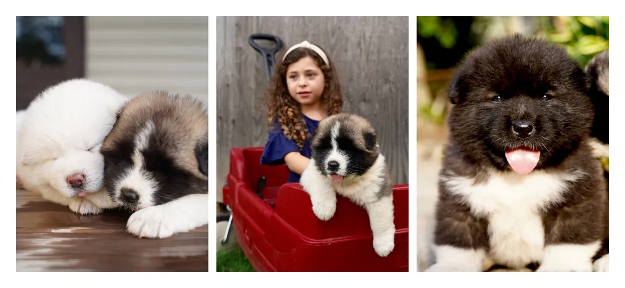 Entry 5428420
