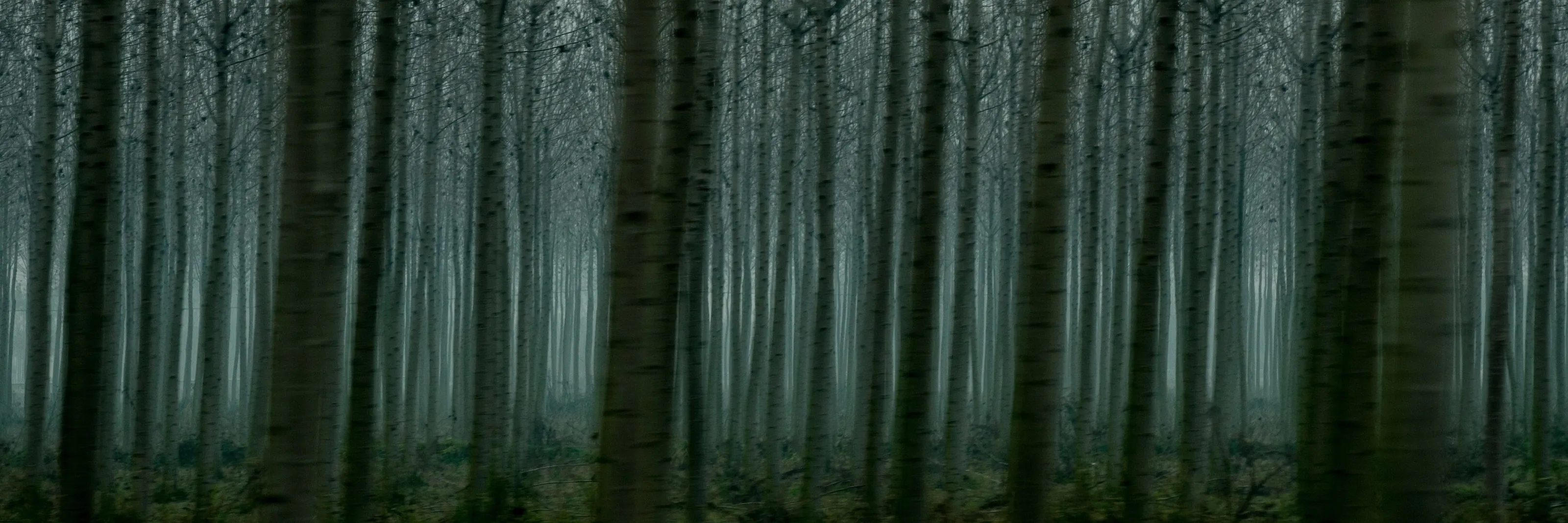Passing by Forests