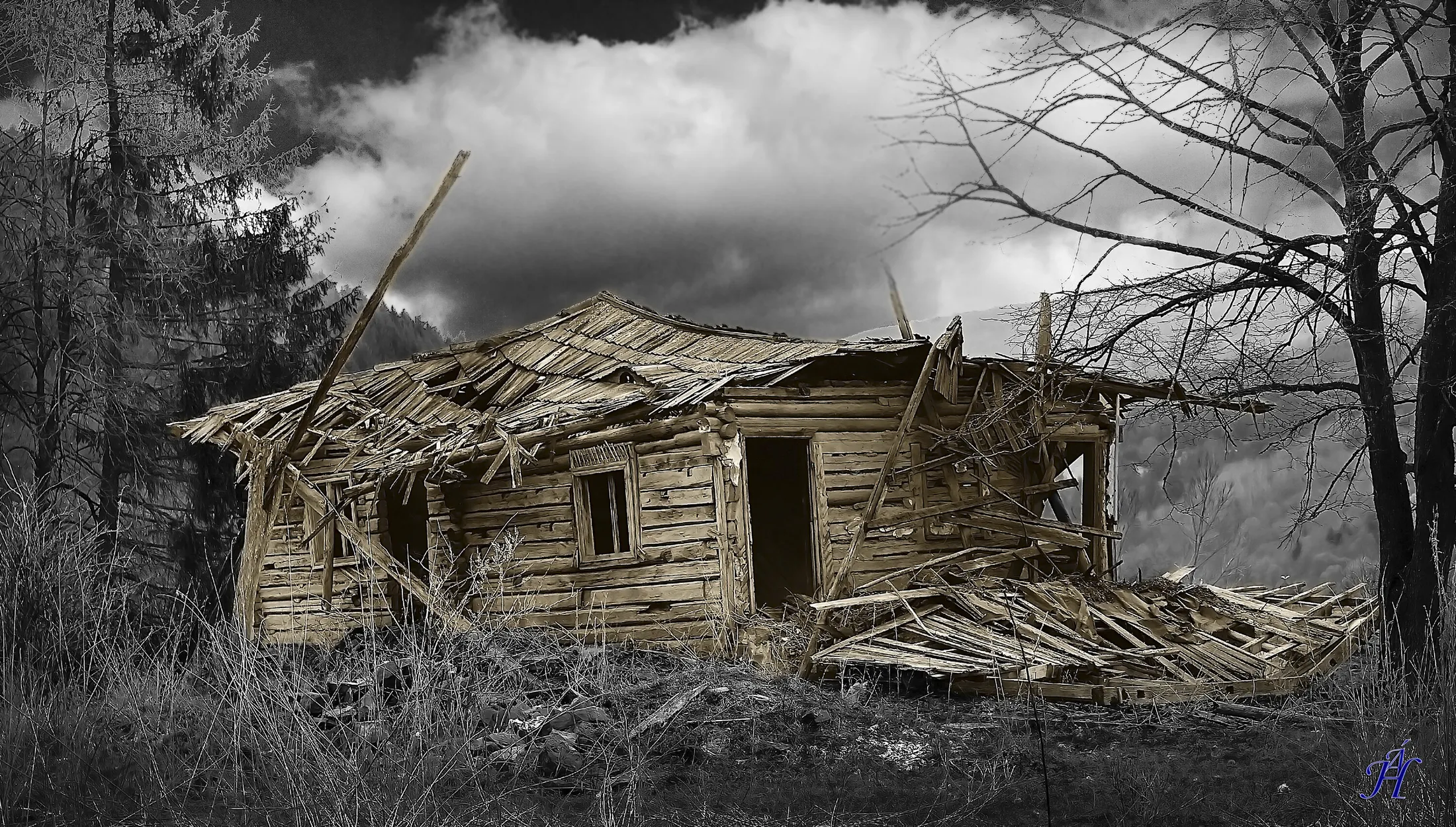 Entry 17578150