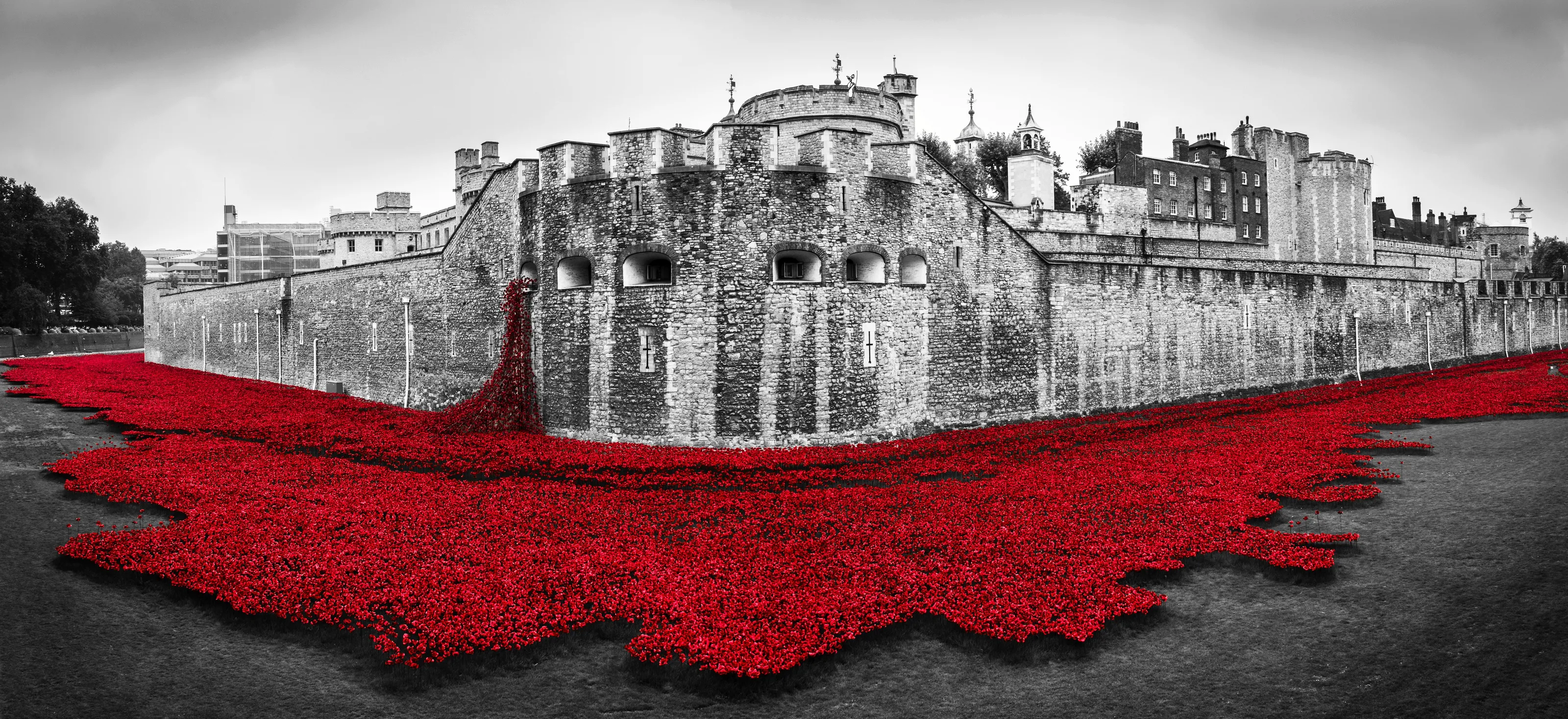 seas of red