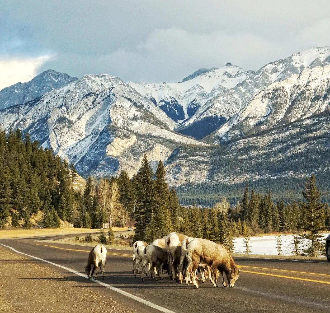 Entry 13501598