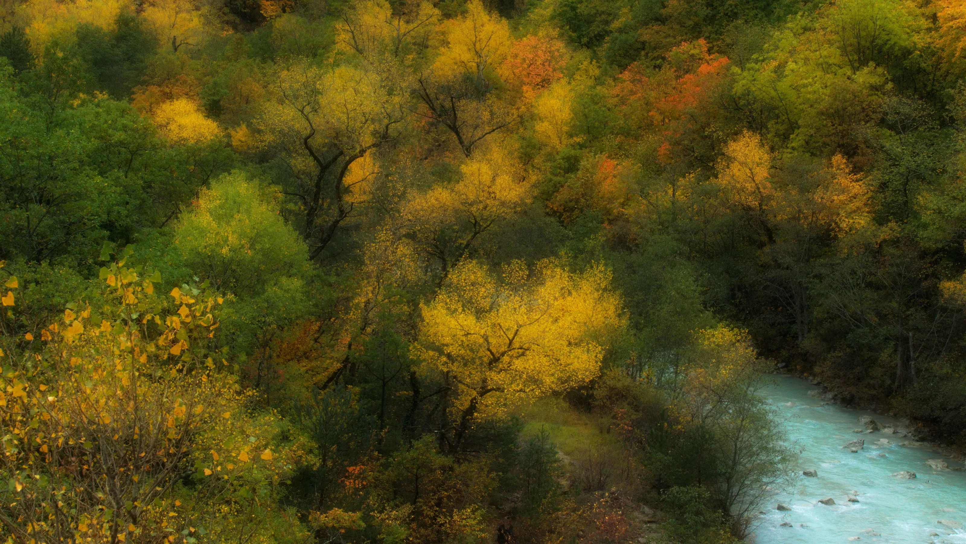 Fall in Provence