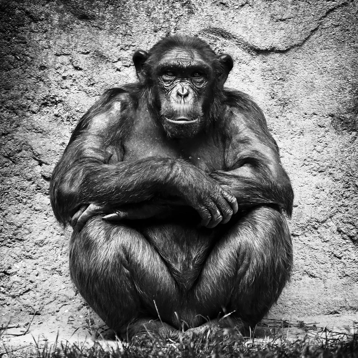 Almost Human
