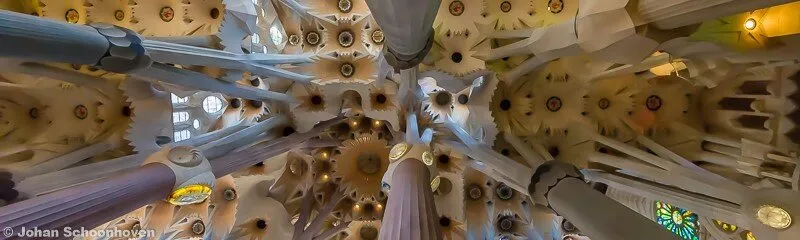 Sagrada Familia - Ceiling