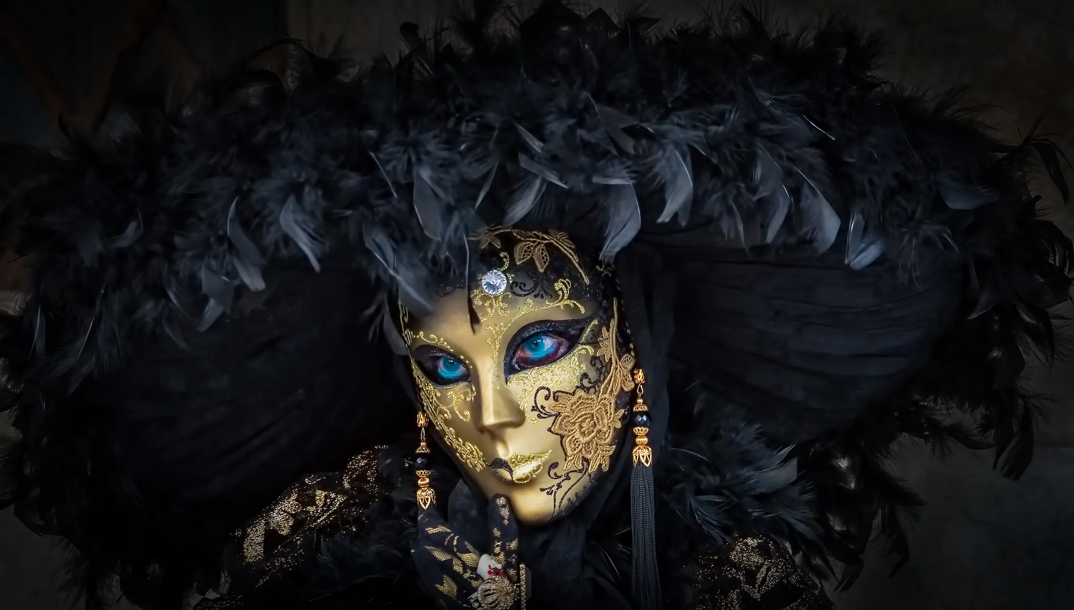 Entry 15336548