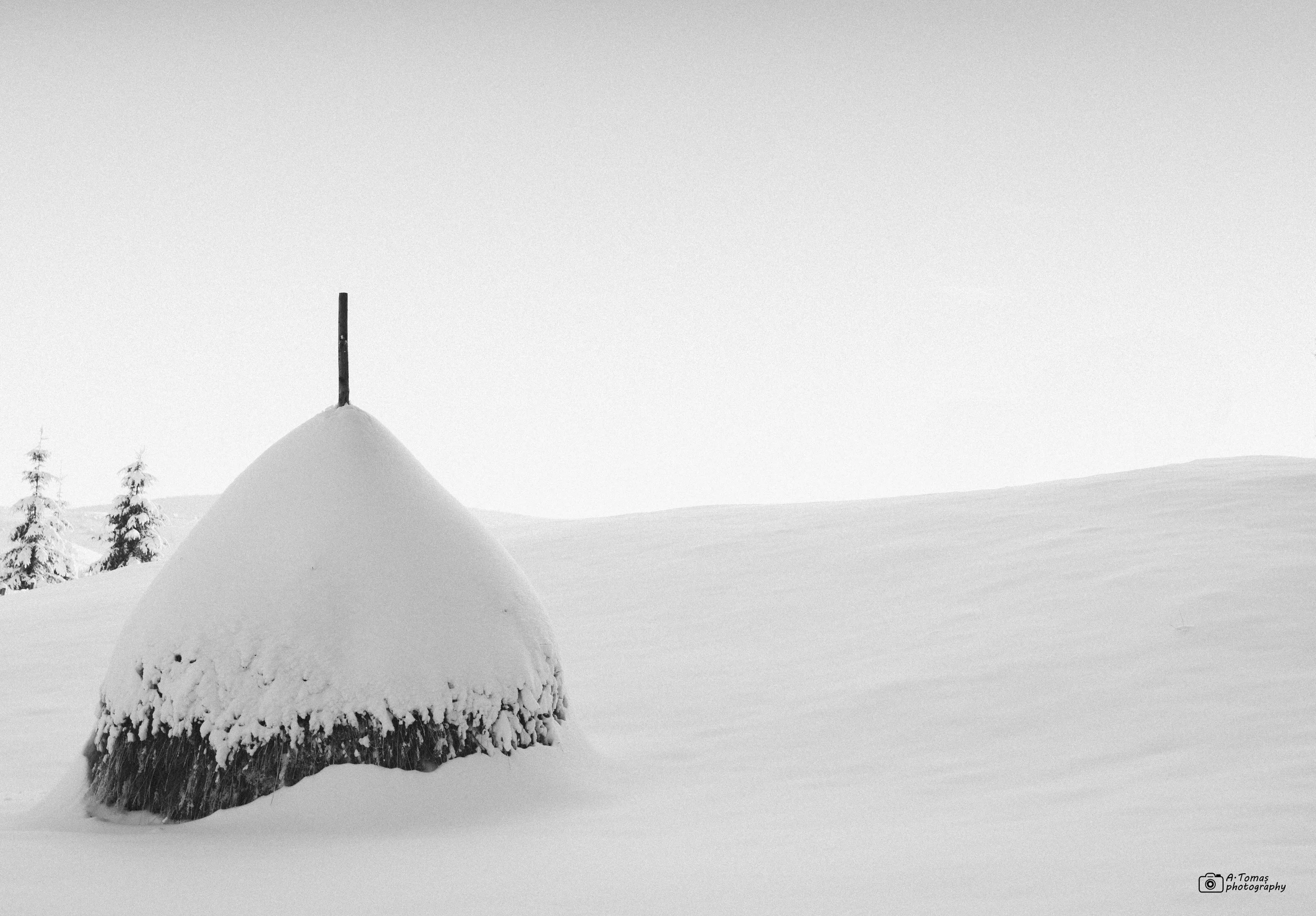 Minimalism in winter