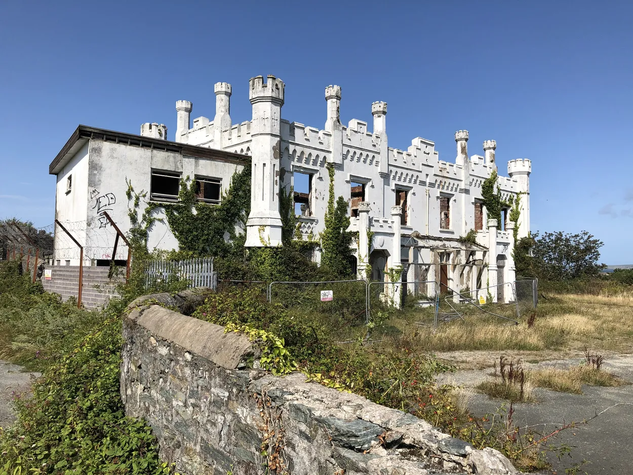 Entry 6220436