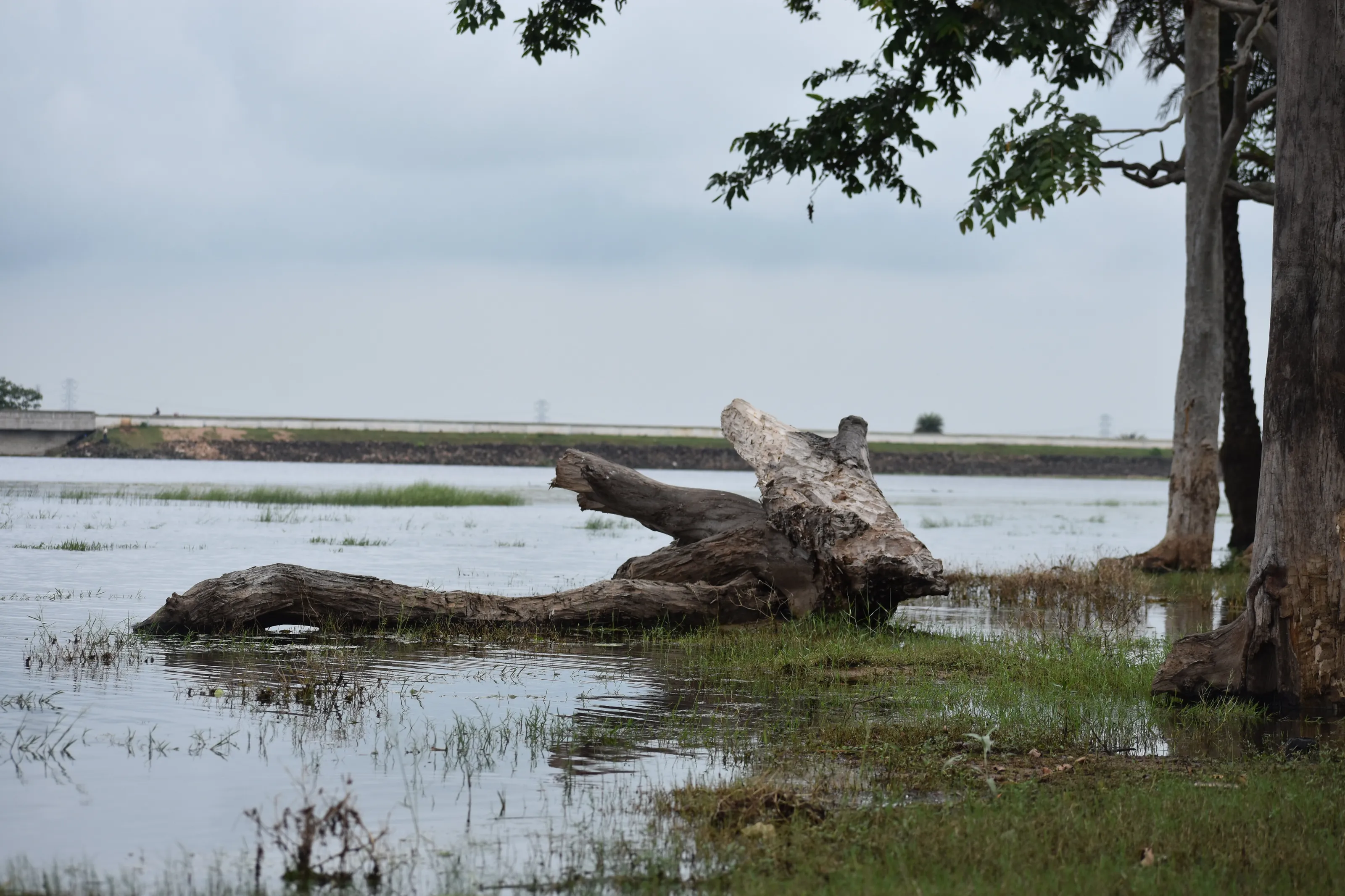 Indian Beautiful Nature photograph landscape