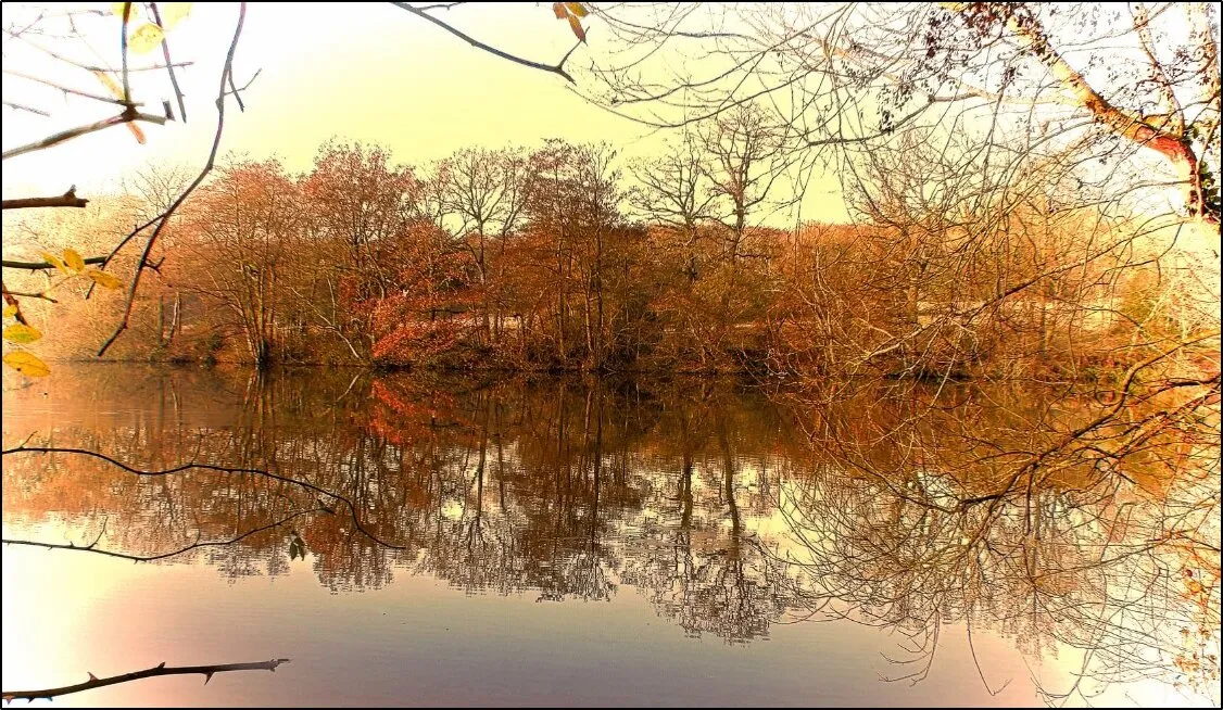 Autumn - Winter?