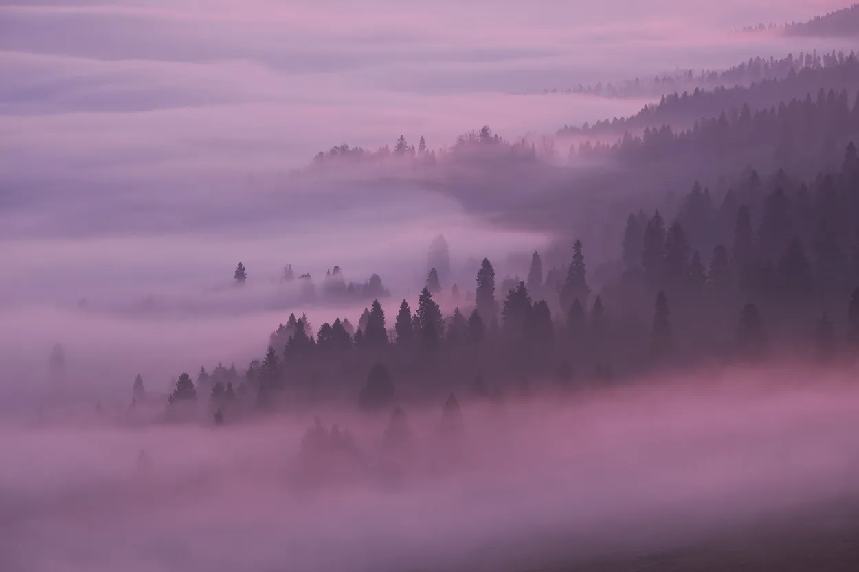 Mist2