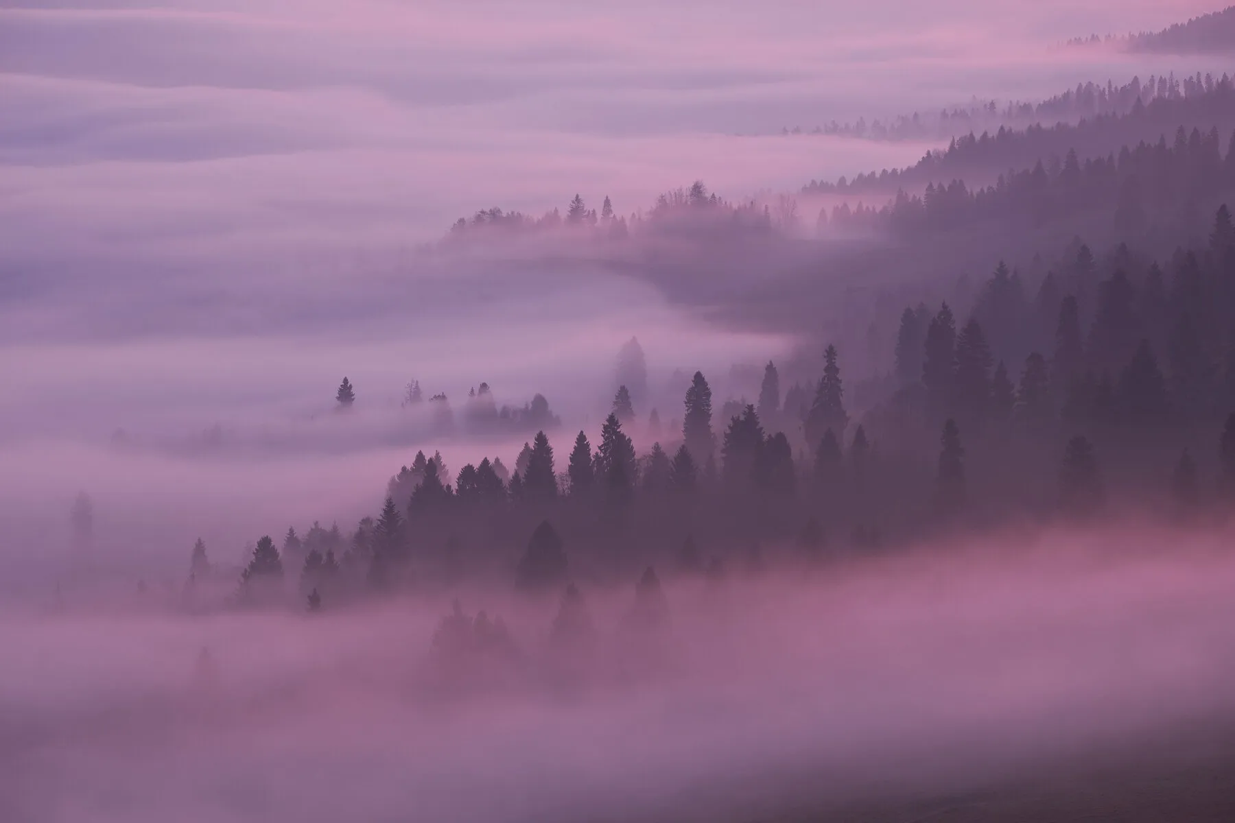 Mist2