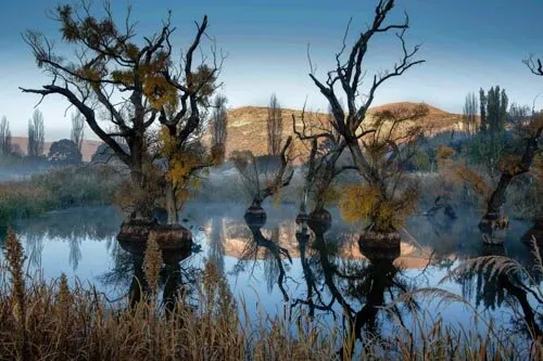 reflection in clarens ofs. rsa