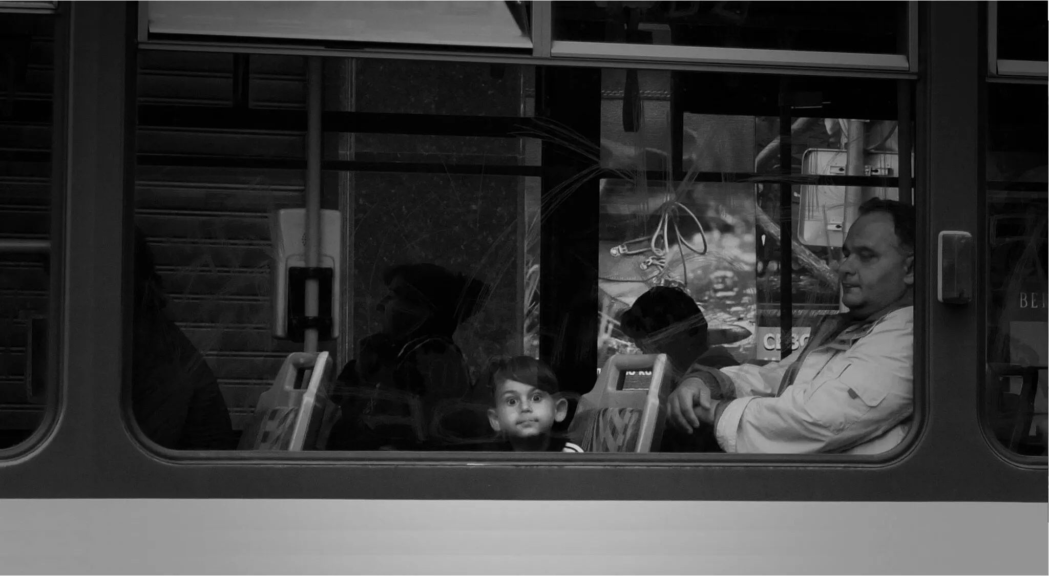 The window kid